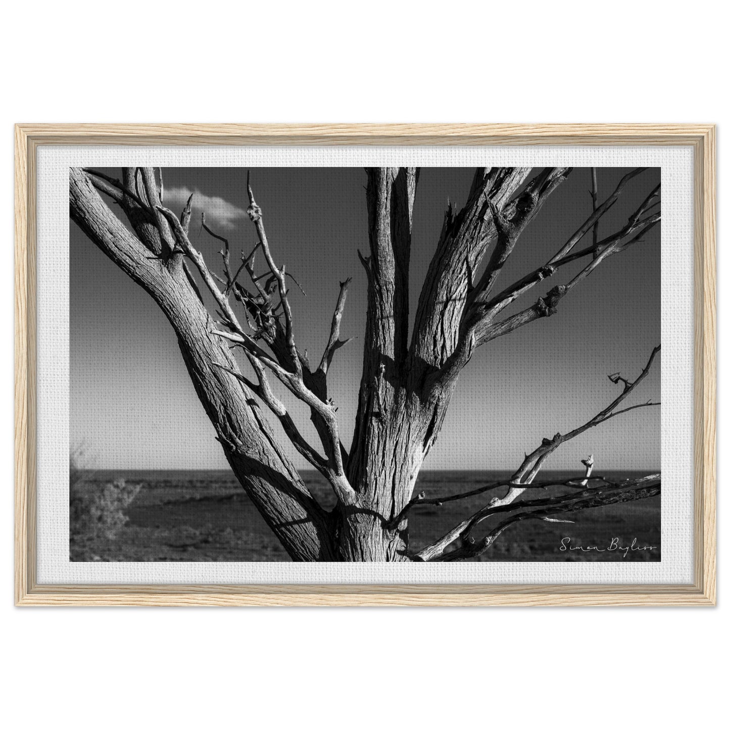 b9d54fa5-9197-4508-9215-1cc10812e66d