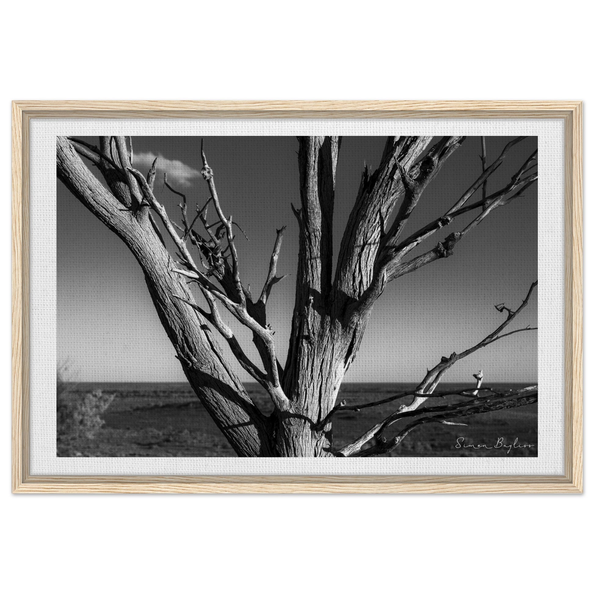 b9d54fa5-9197-4508-9215-1cc10812e66d