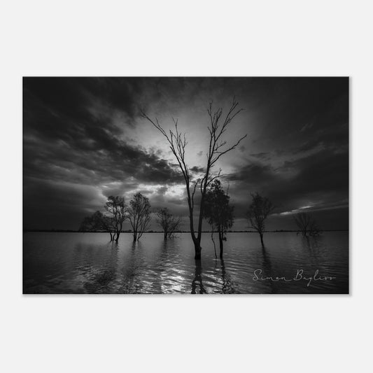 b9eccf47-0368-4c3d-9e5e-d154097ee19f