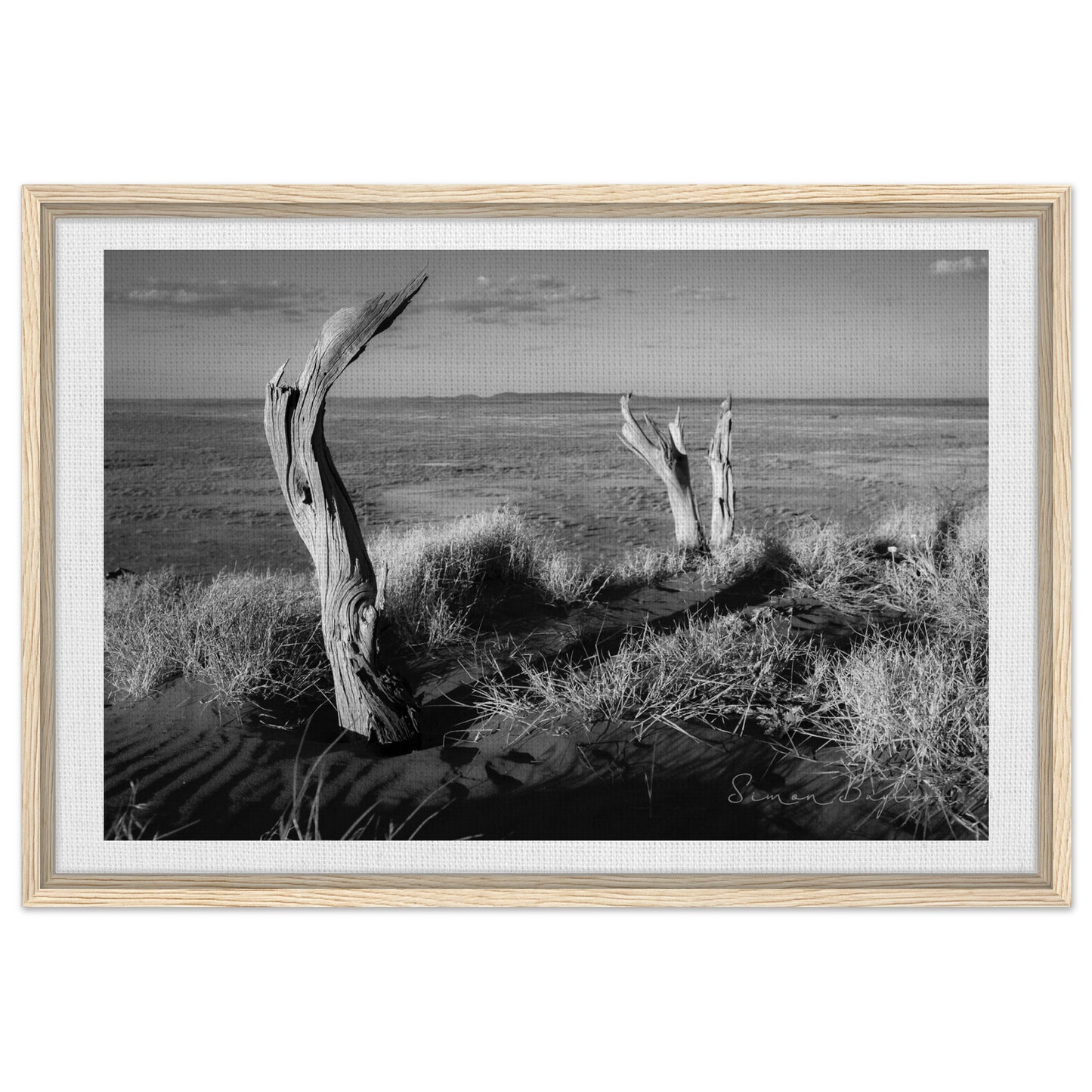 ba0de150-2d70-4056-a0b7-6ed1faacca57