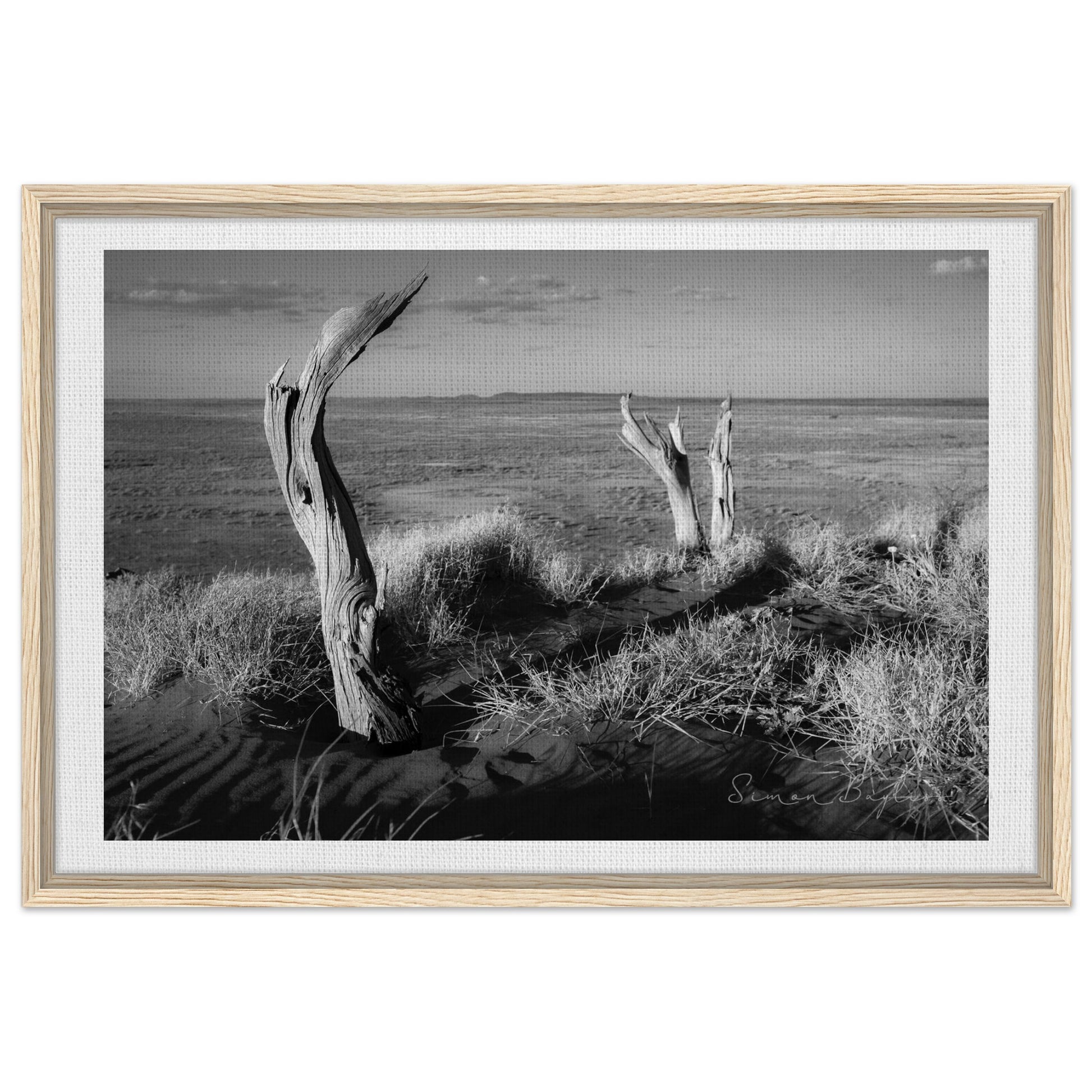 ba0de150-2d70-4056-a0b7-6ed1faacca57