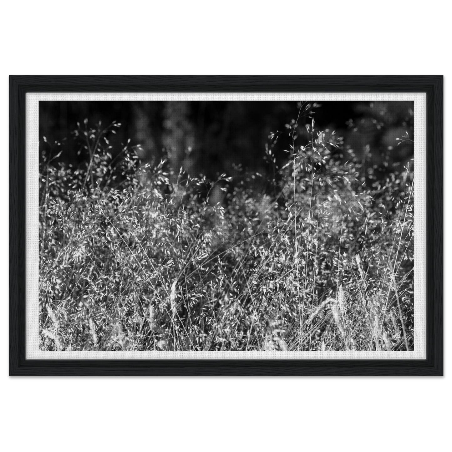 ba2f11c2-a586-4ee6-947d-e637734ed18b