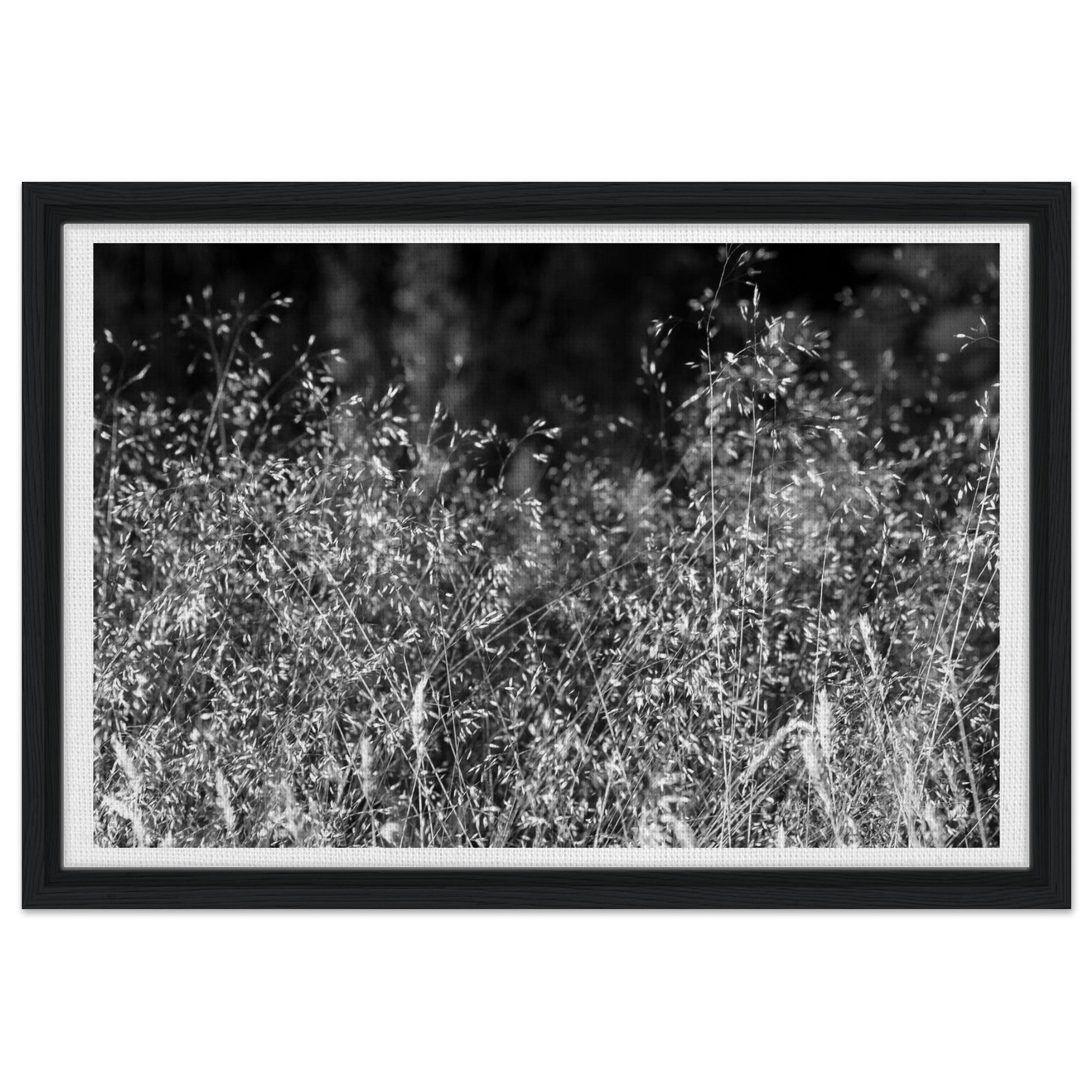 ba2f11c2-a586-4ee6-947d-e637734ed18b