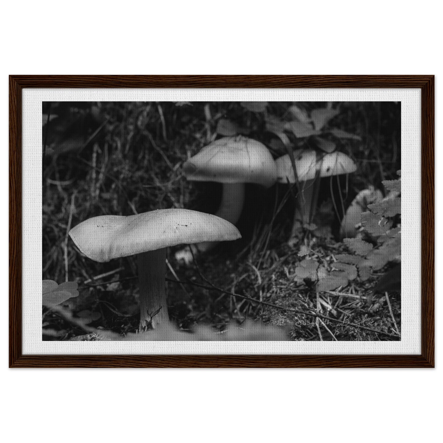 baf0abf0-7738-44db-859b-c592a236aca2