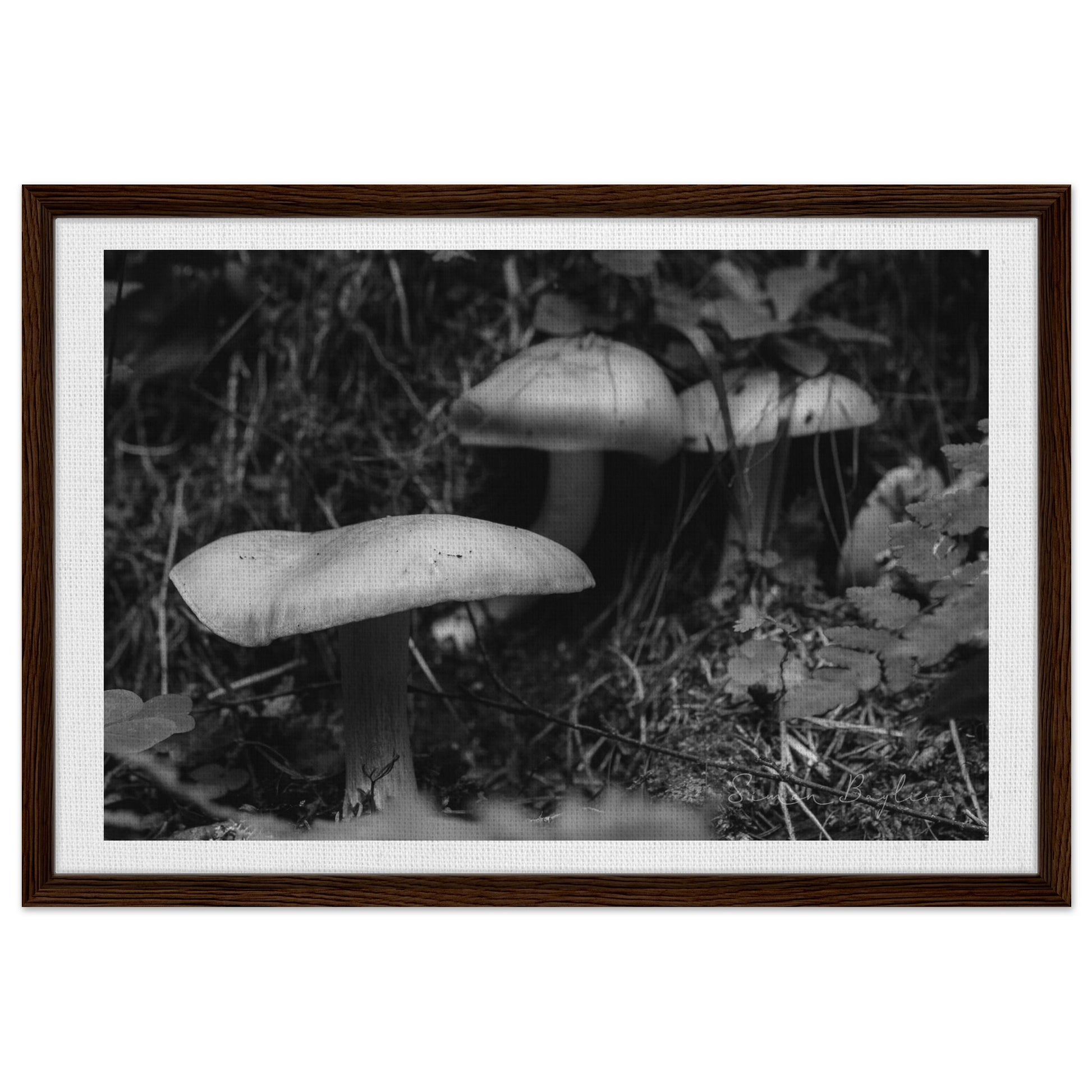 baf0abf0-7738-44db-859b-c592a236aca2