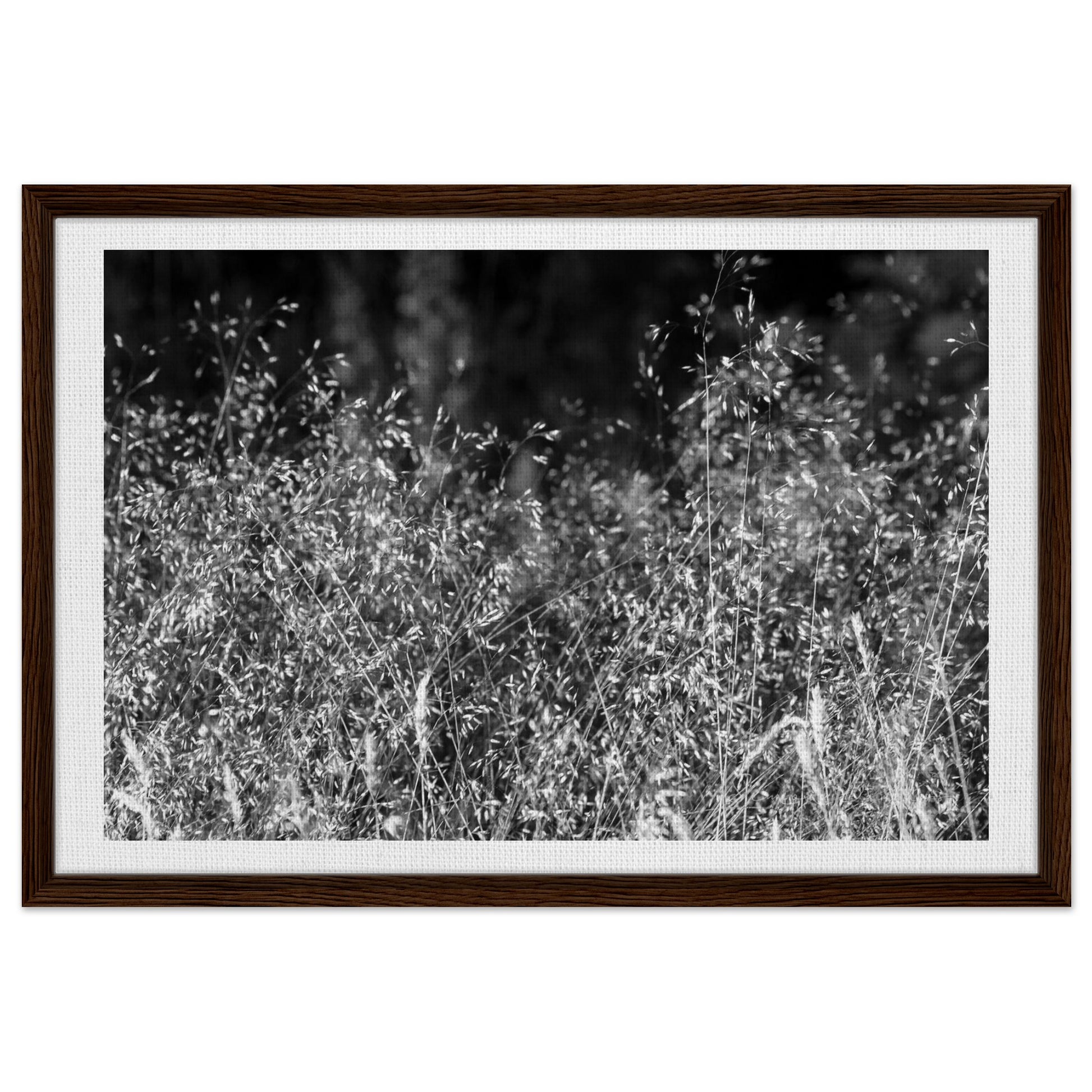 bb07d892-b7a1-47f2-991d-141686cacca8