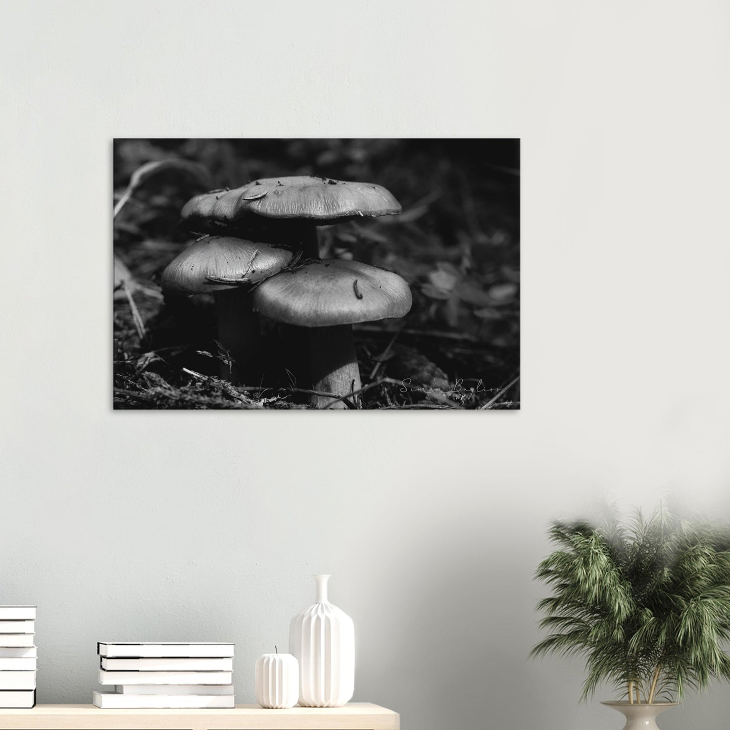 bb0a6163-1d0b-4c9a-9a89-1eee14a8ffba