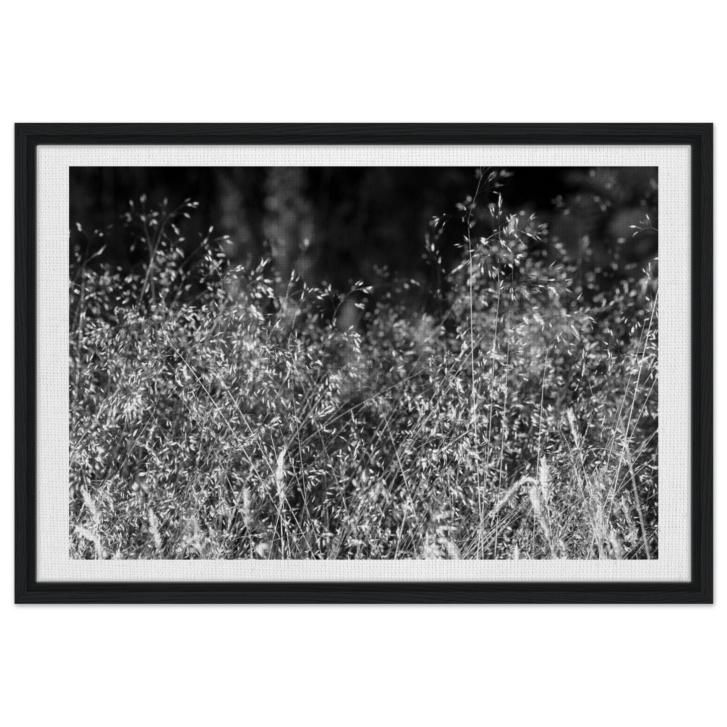 bb279025-3143-4e0a-a49f-7fd0f5b6ed98