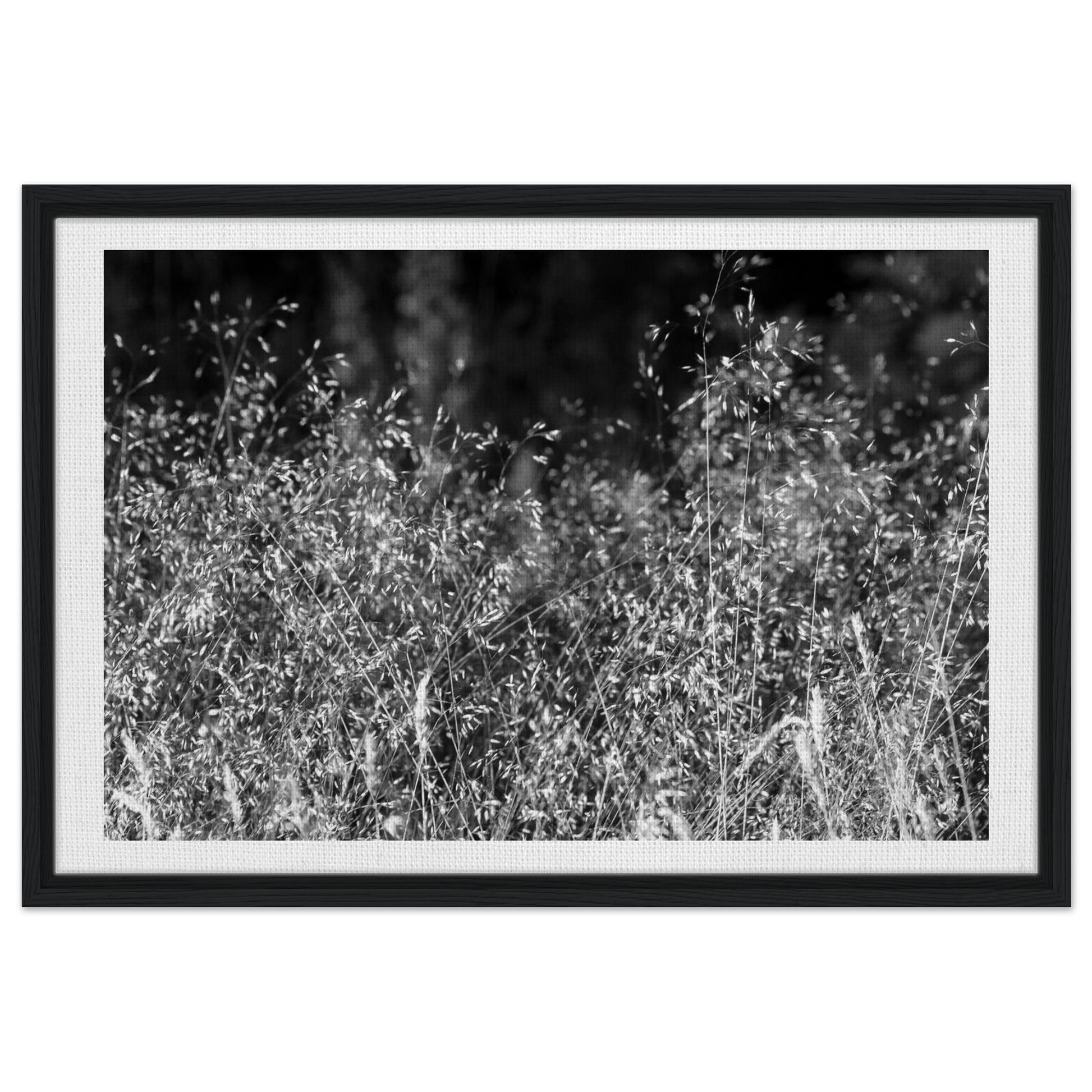 bb279025-3143-4e0a-a49f-7fd0f5b6ed98