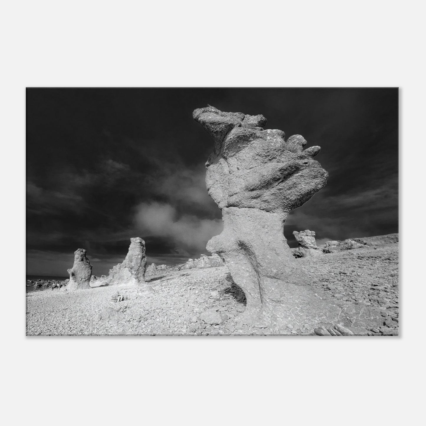 bbcb5355-93f9-4e79-901a-d6ea48cdef7d