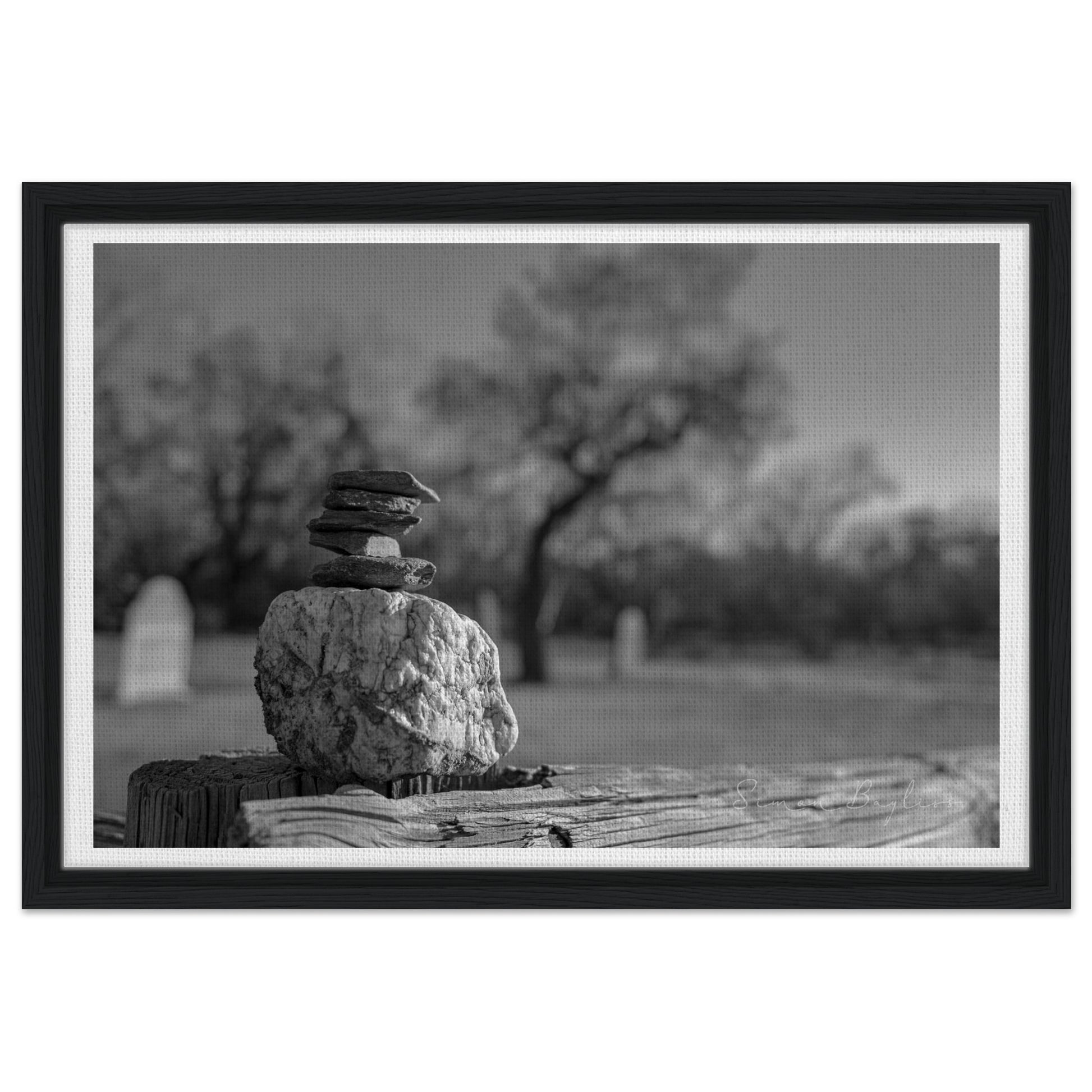 bc1d3c76-d928-456d-a70c-79058ca3e366