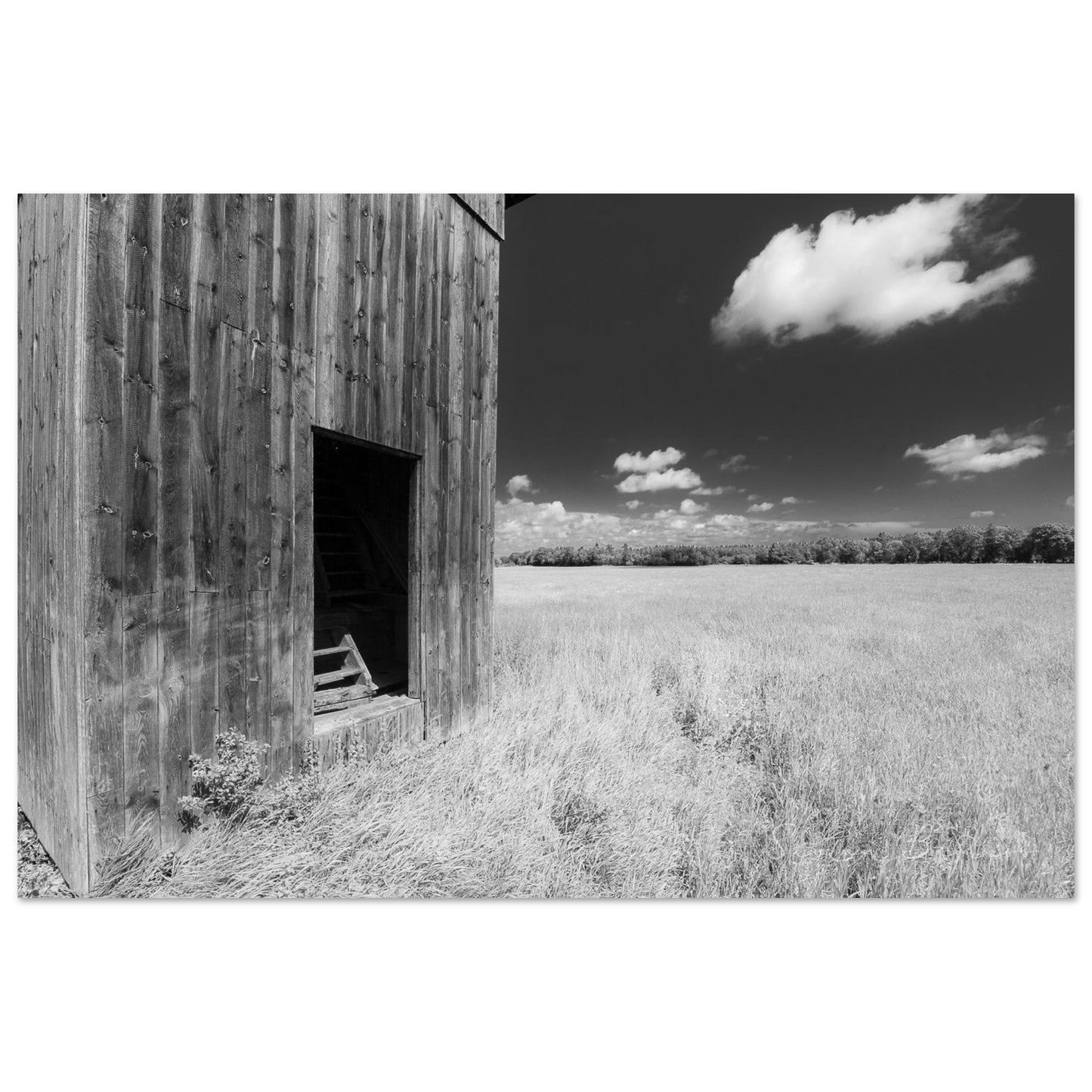 bcedcb18-9e2b-48a1-90dc-22911cad1ac2