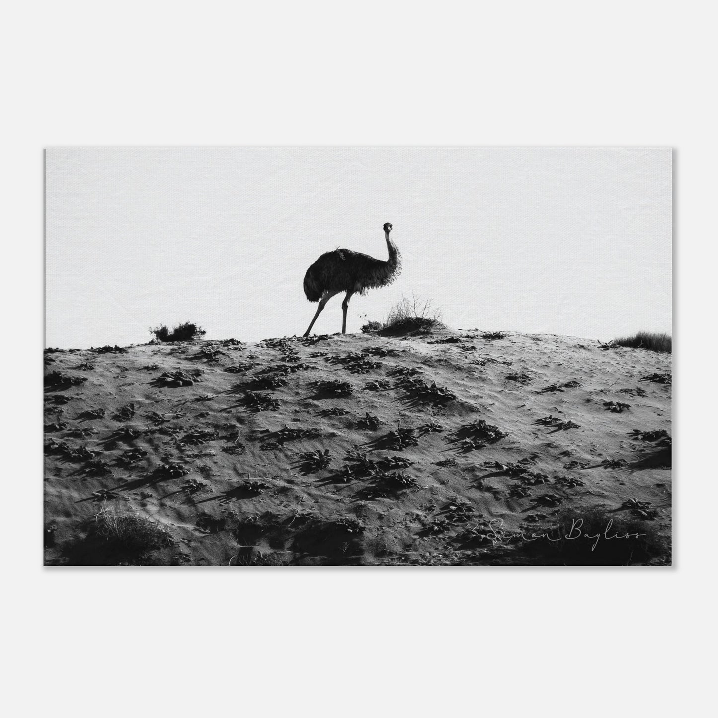 bd40d726-06e9-4178-b617-a135fbd2f29e