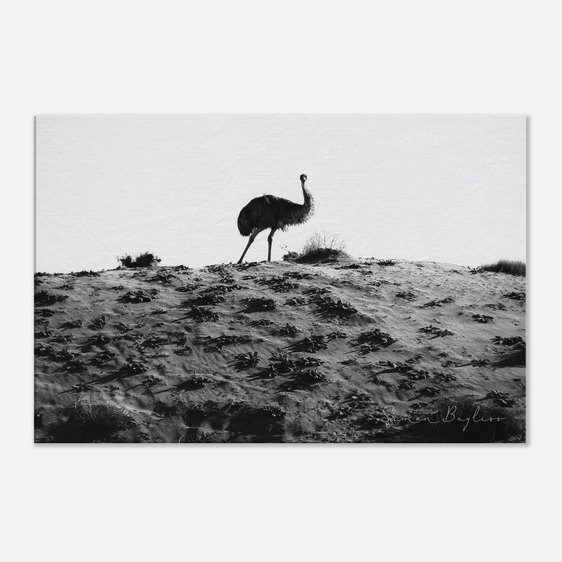 bd40d726-06e9-4178-b617-a135fbd2f29e