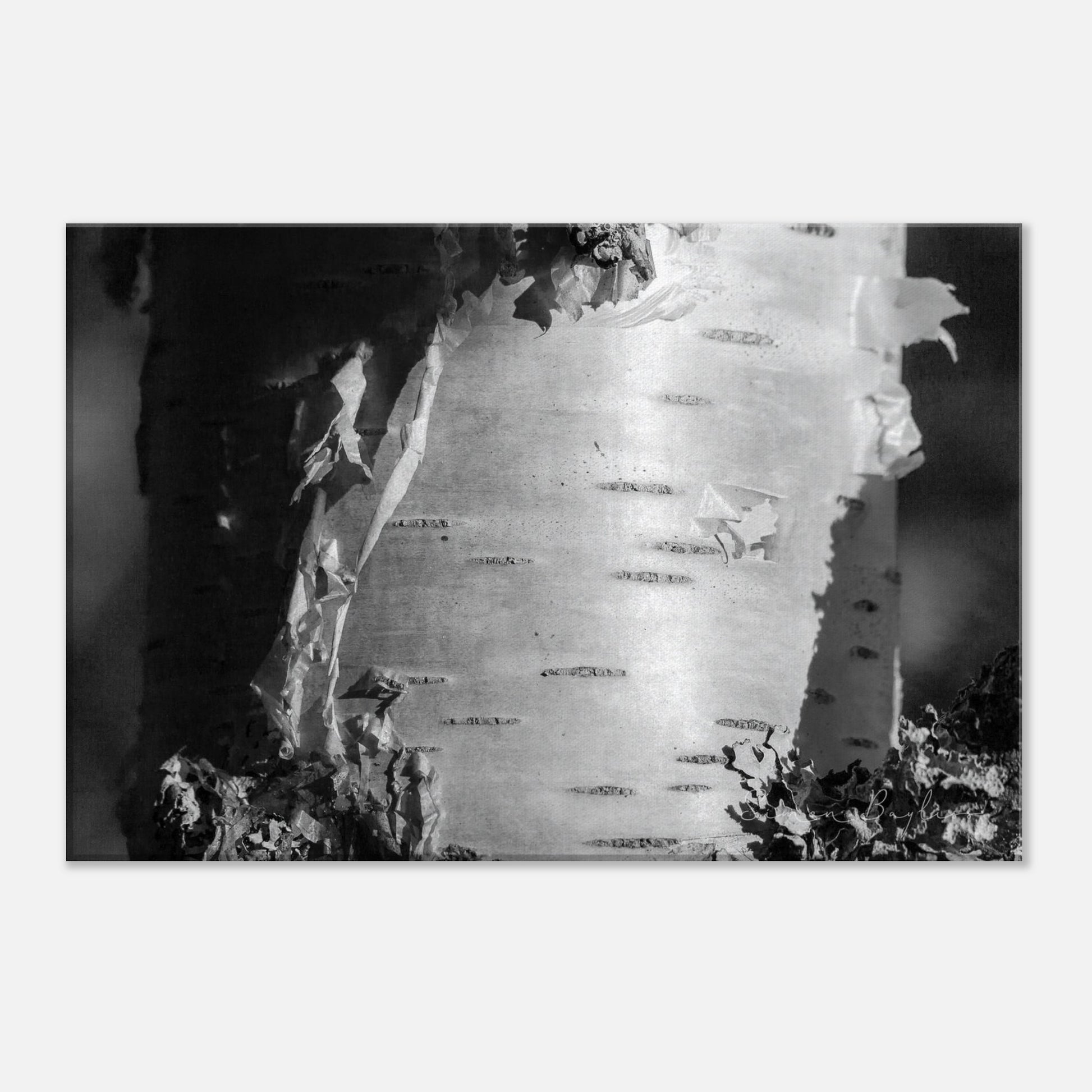 bd5e2e3e-c824-44a6-a8da-c3ac370a1bb3