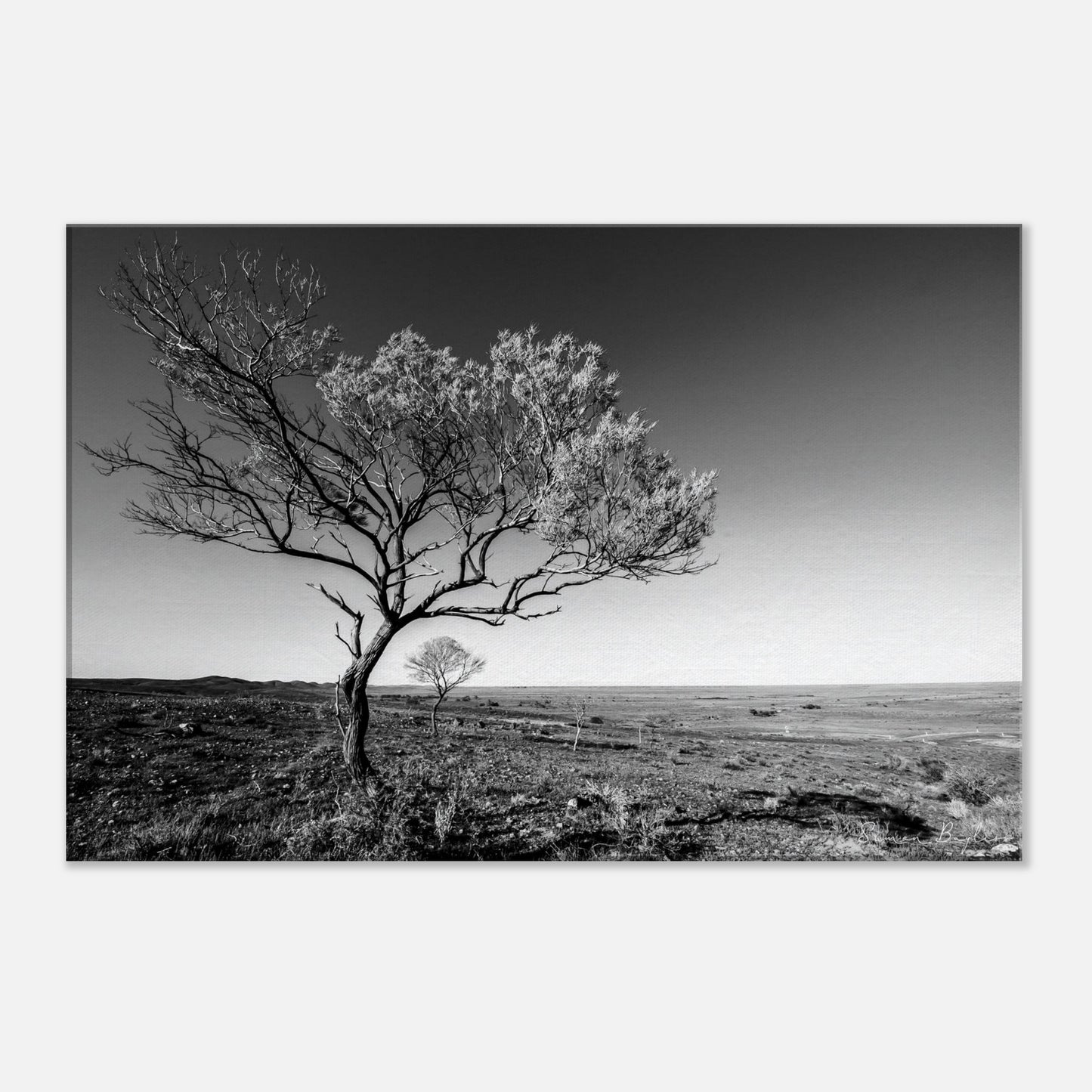 bd8db7eb-4028-47d1-aab4-ab3f0043340a