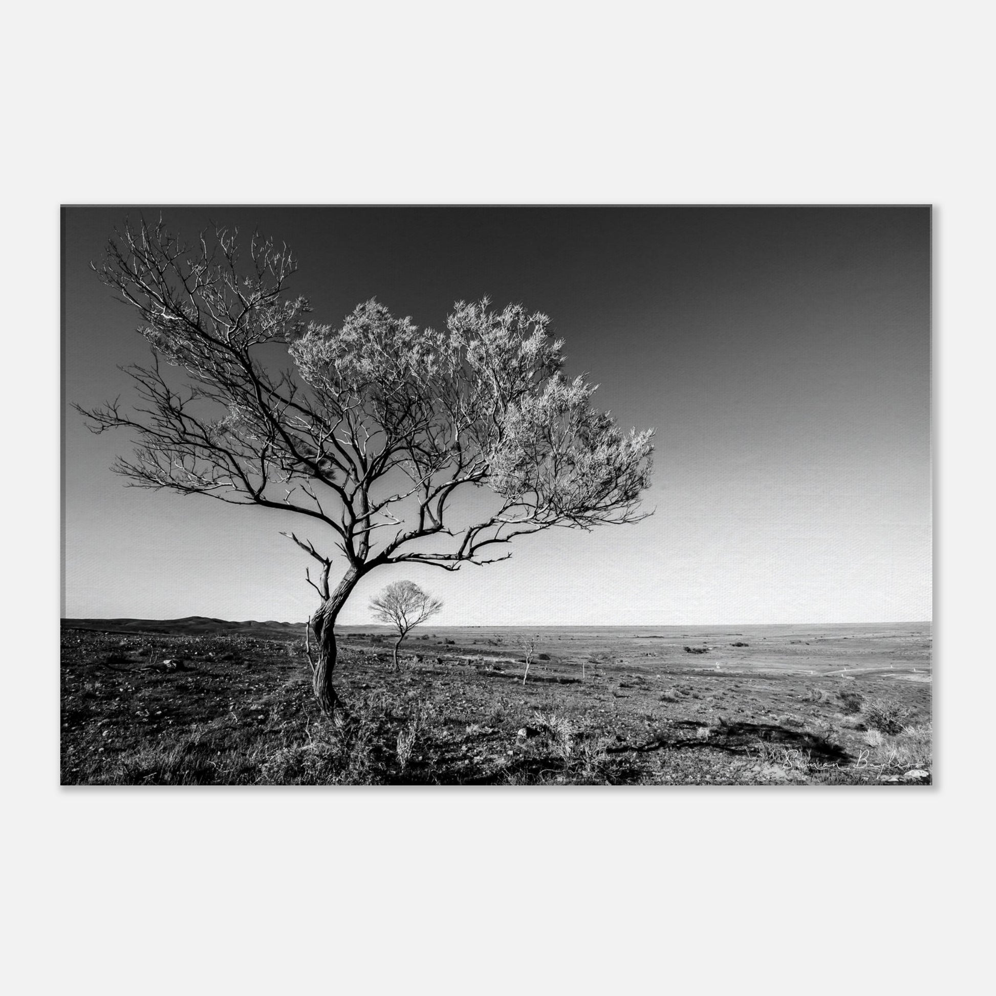 bd8db7eb-4028-47d1-aab4-ab3f0043340a