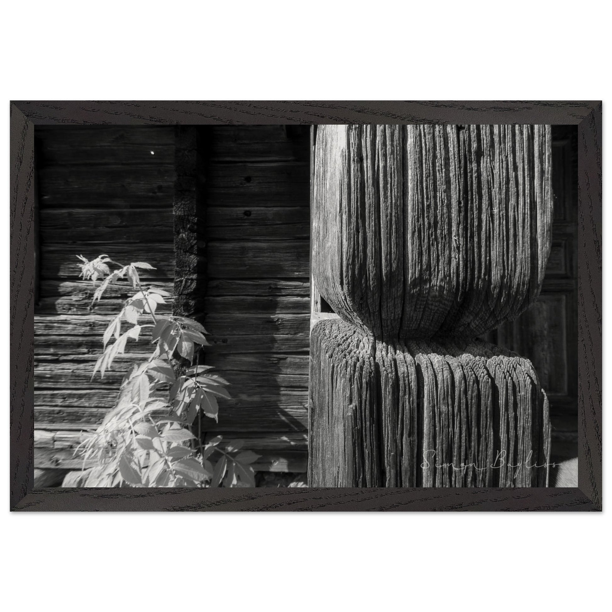 be5575e7-cf1a-4ef1-853b-12dc5143938a