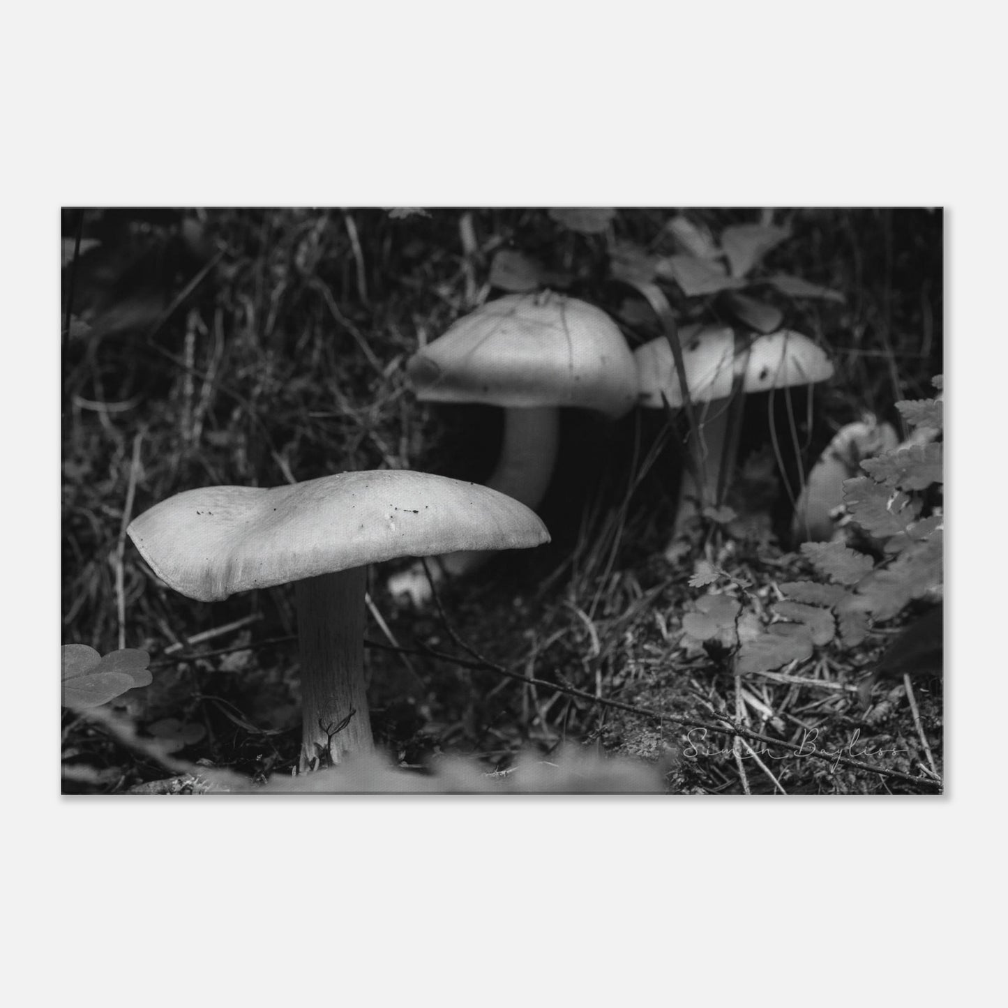 be590a82-0bc3-4d00-aed0-63e1f1e81cb5