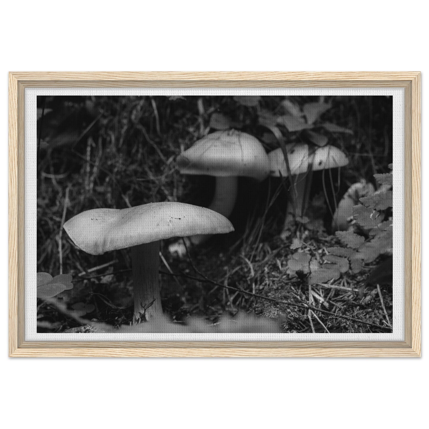 be5fa1ab-c3a8-44bc-b347-b97d7b97a46b