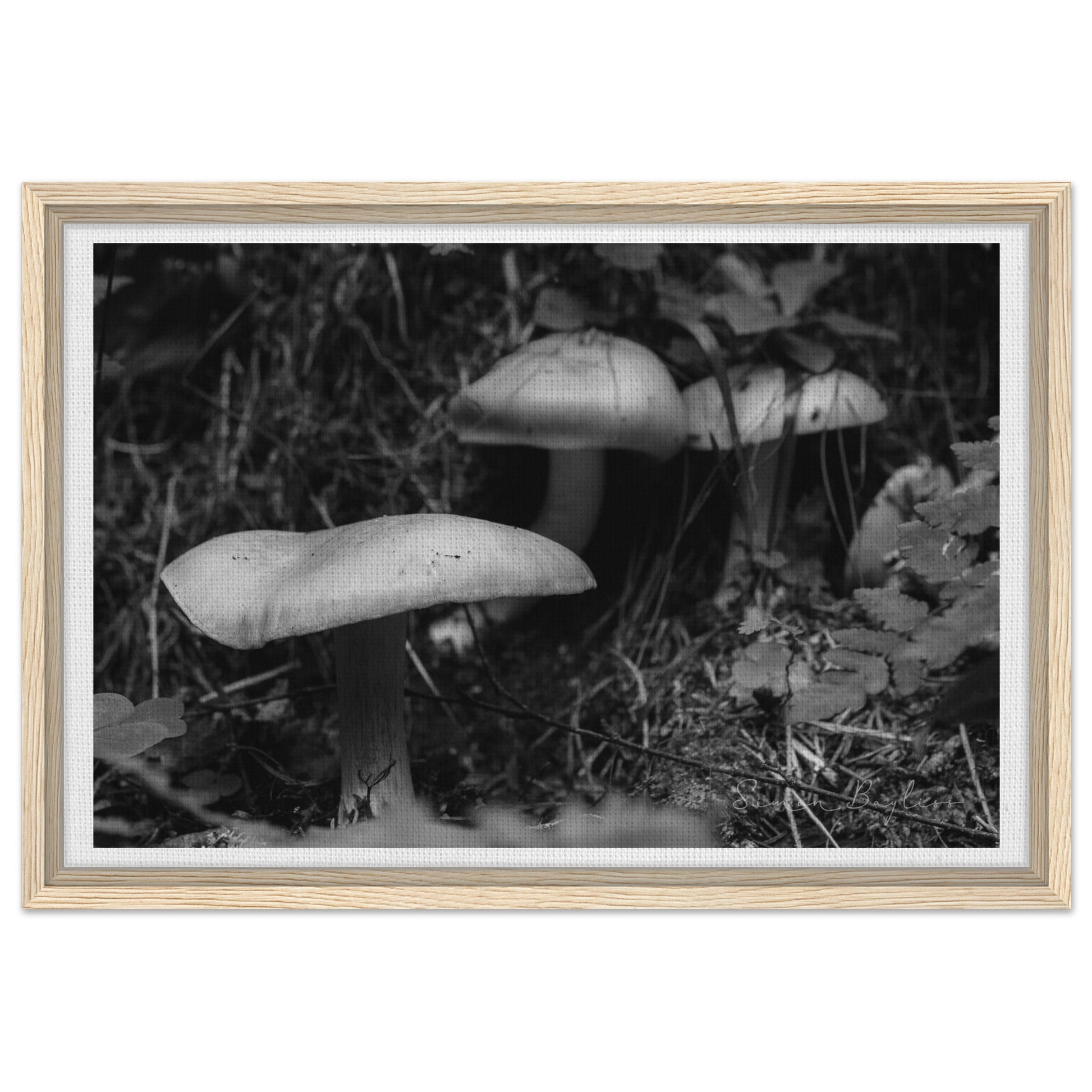 be5fa1ab-c3a8-44bc-b347-b97d7b97a46b