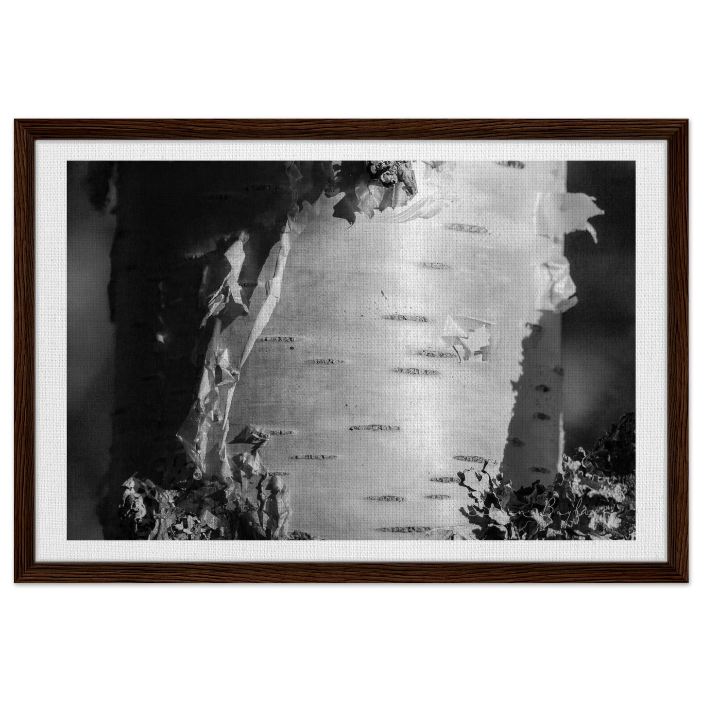 be6af210-fcd5-4265-abee-d7cfc42dc6ff