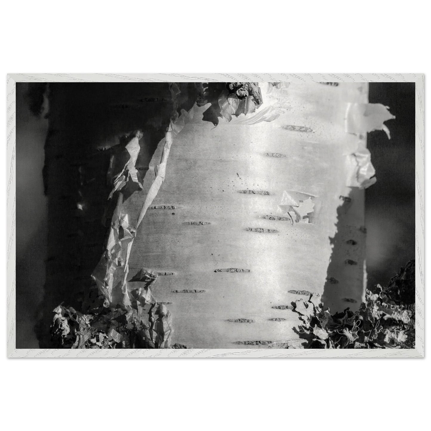 becd5a3e-3dd0-4e17-a132-e4e997936550