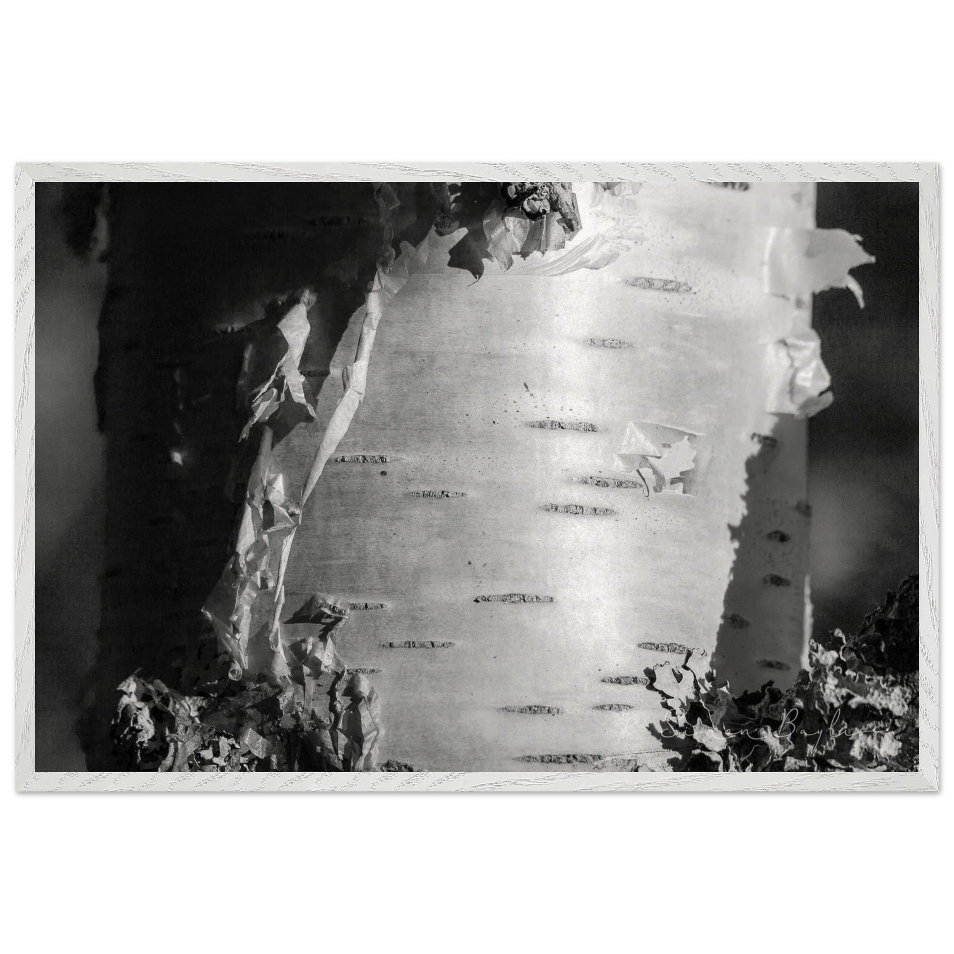 becd5a3e-3dd0-4e17-a132-e4e997936550