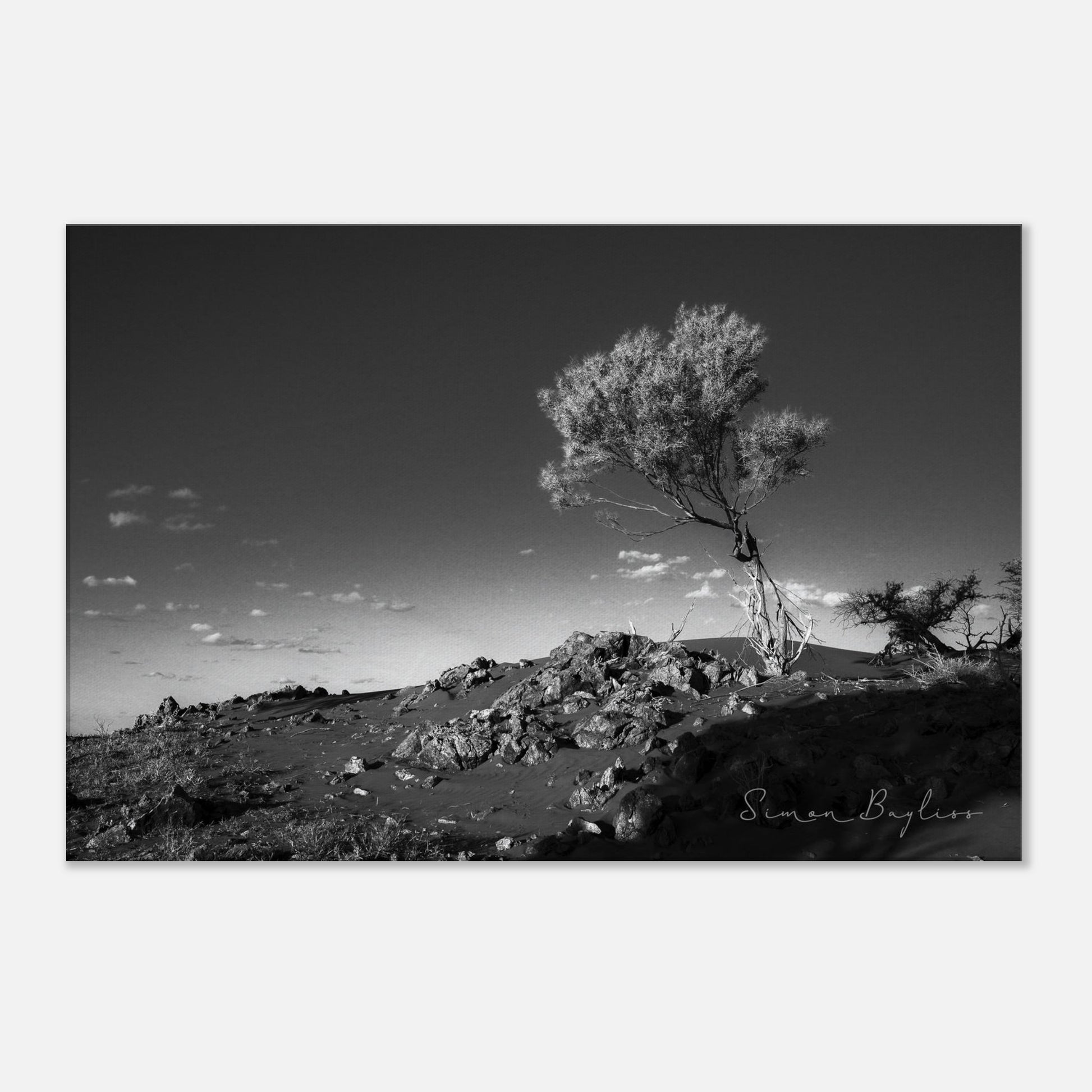 bfade946-6158-457b-aa4d-36bb0817cccd