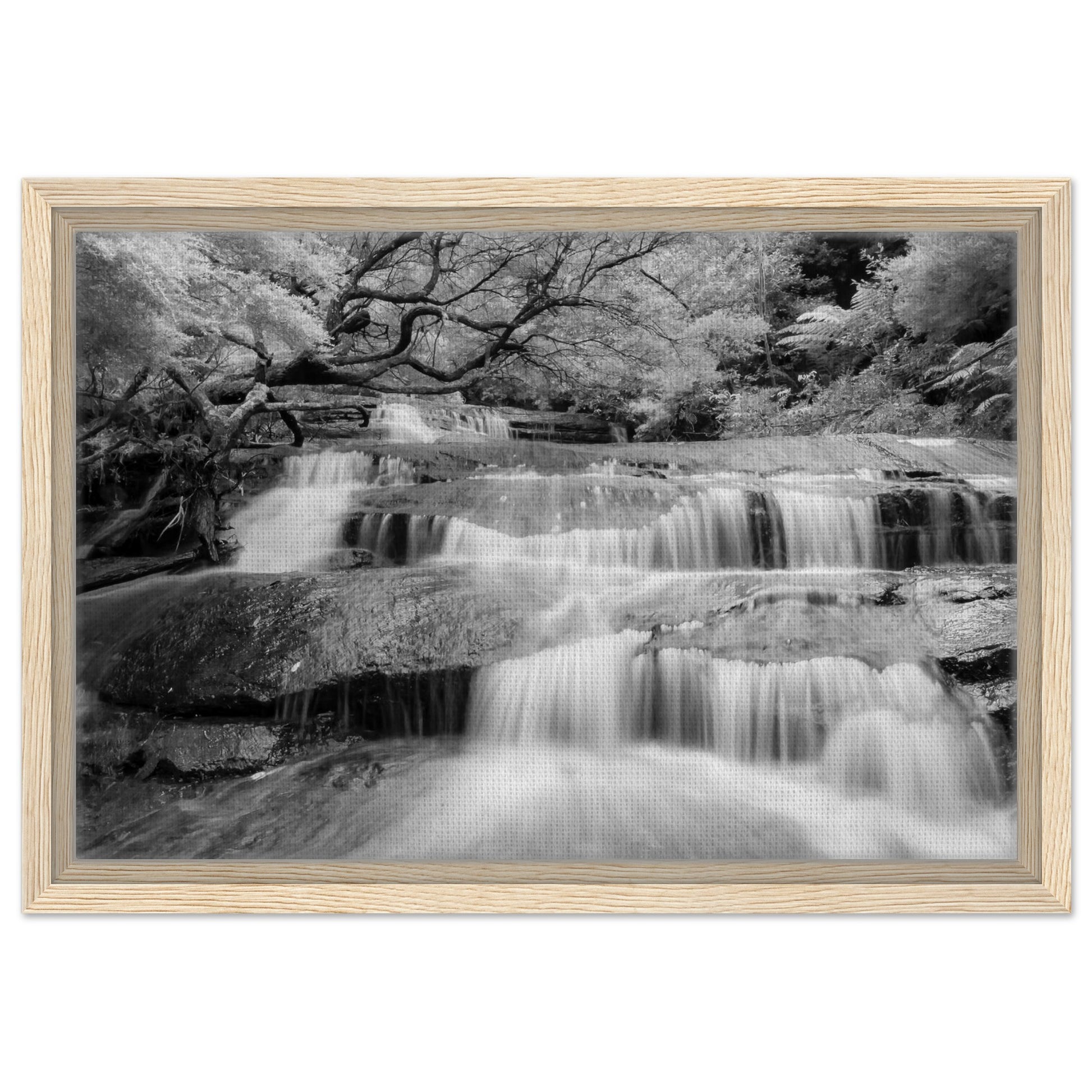 bfbb2a00-f89e-45c3-9fcb-1f35880b56db