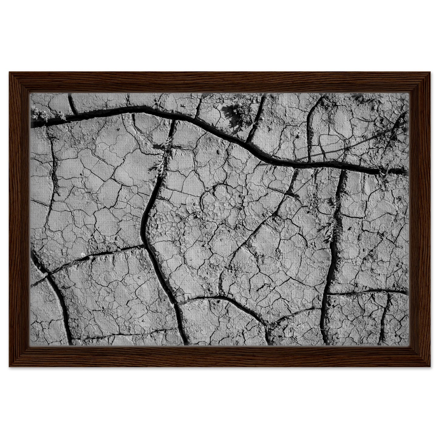 bfbfea02-363c-43ef-a607-271e8c879268