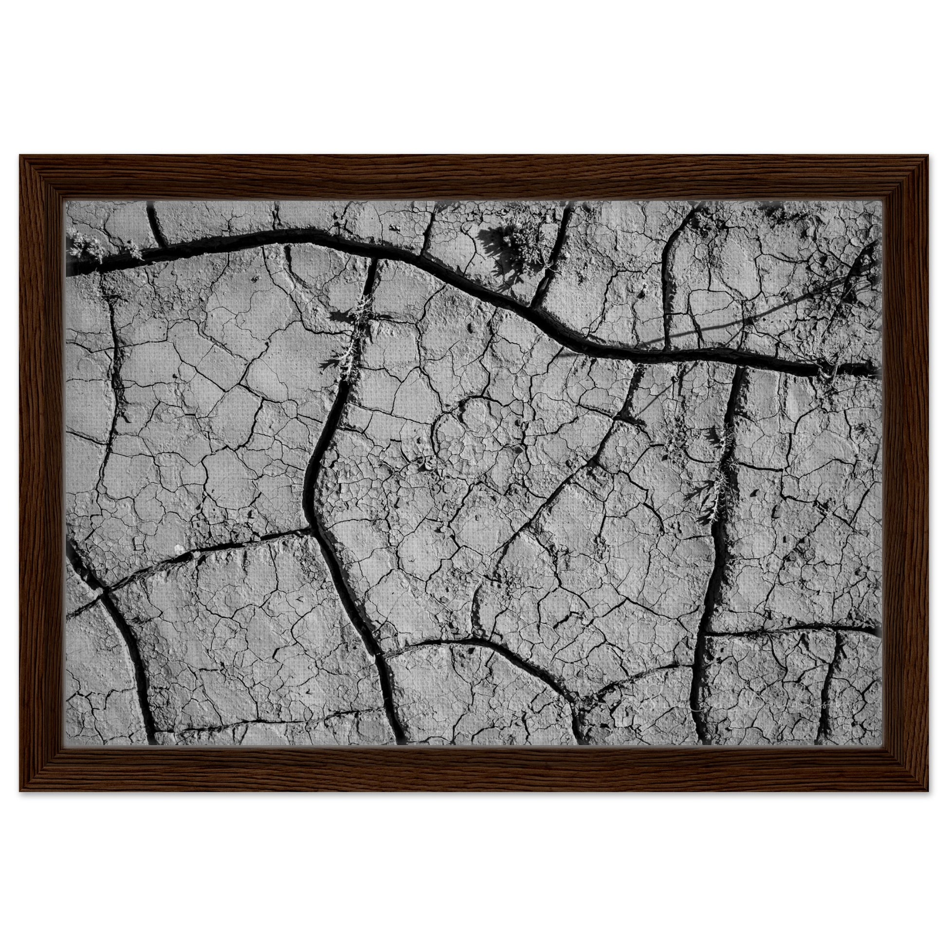 bfbfea02-363c-43ef-a607-271e8c879268