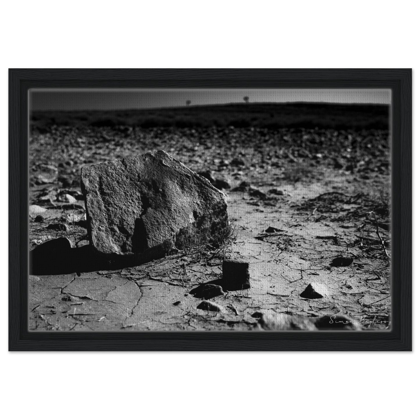 c029fa4c-99a5-41be-96d9-8898058031cd