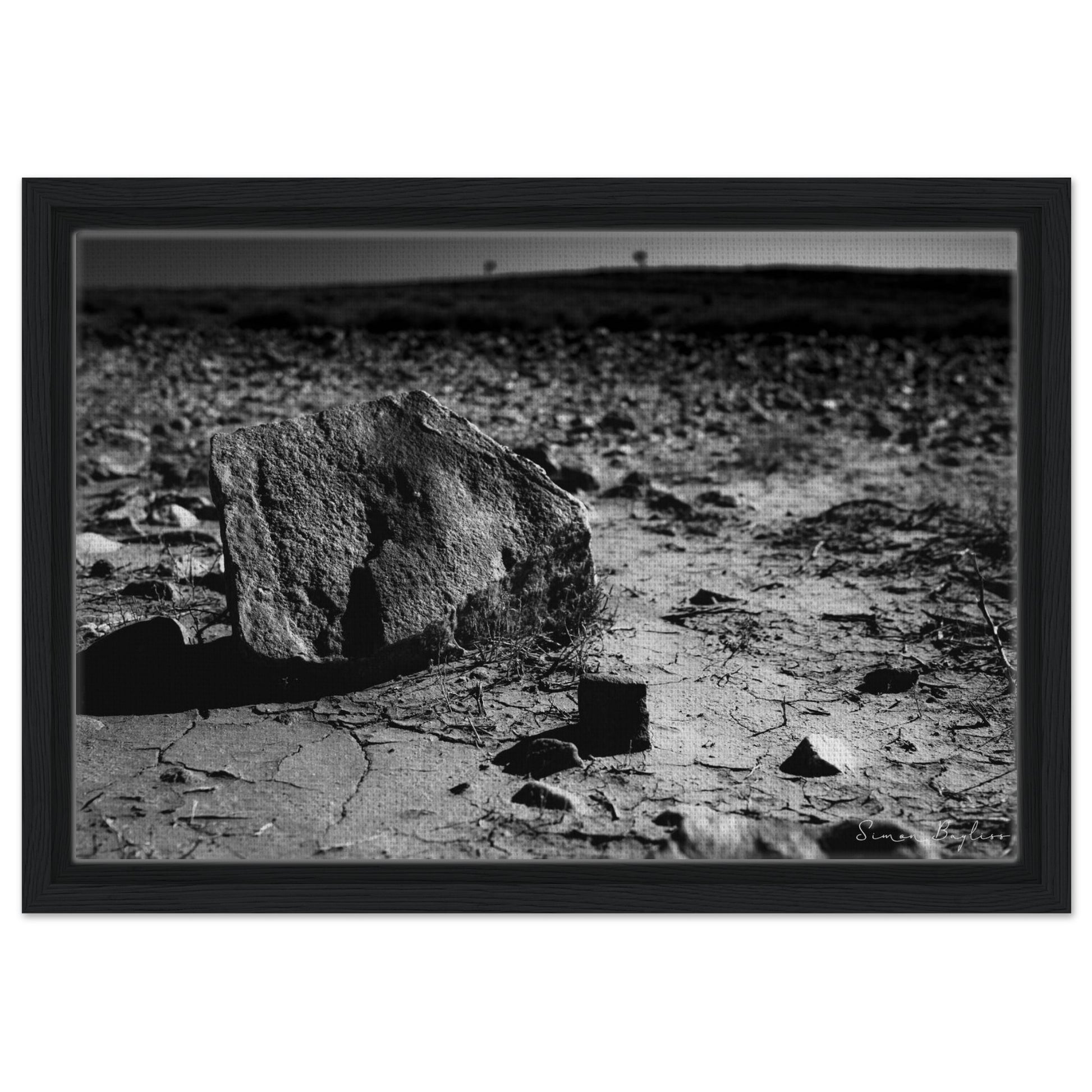 c029fa4c-99a5-41be-96d9-8898058031cd