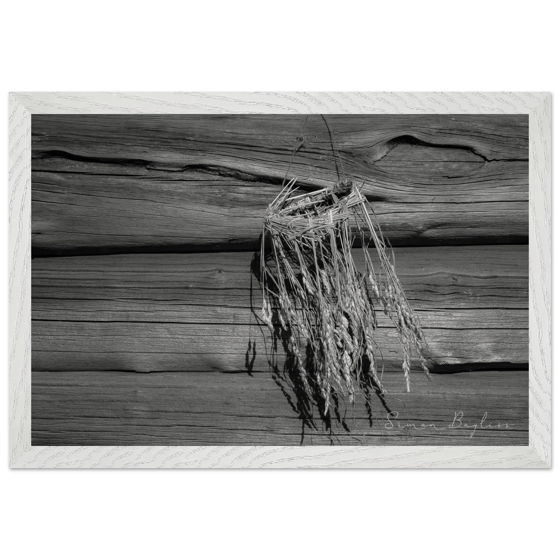 c02d4d69-b68b-4aaa-bacc-8022f0425409