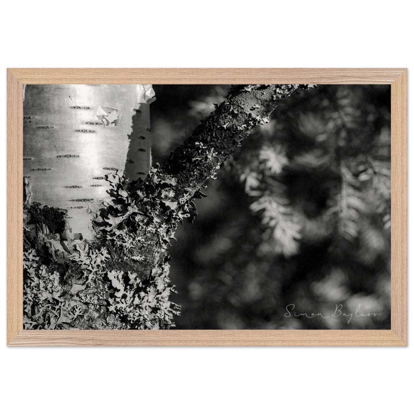 c07985e0-bbc2-4b49-a7ef-92abced94c03