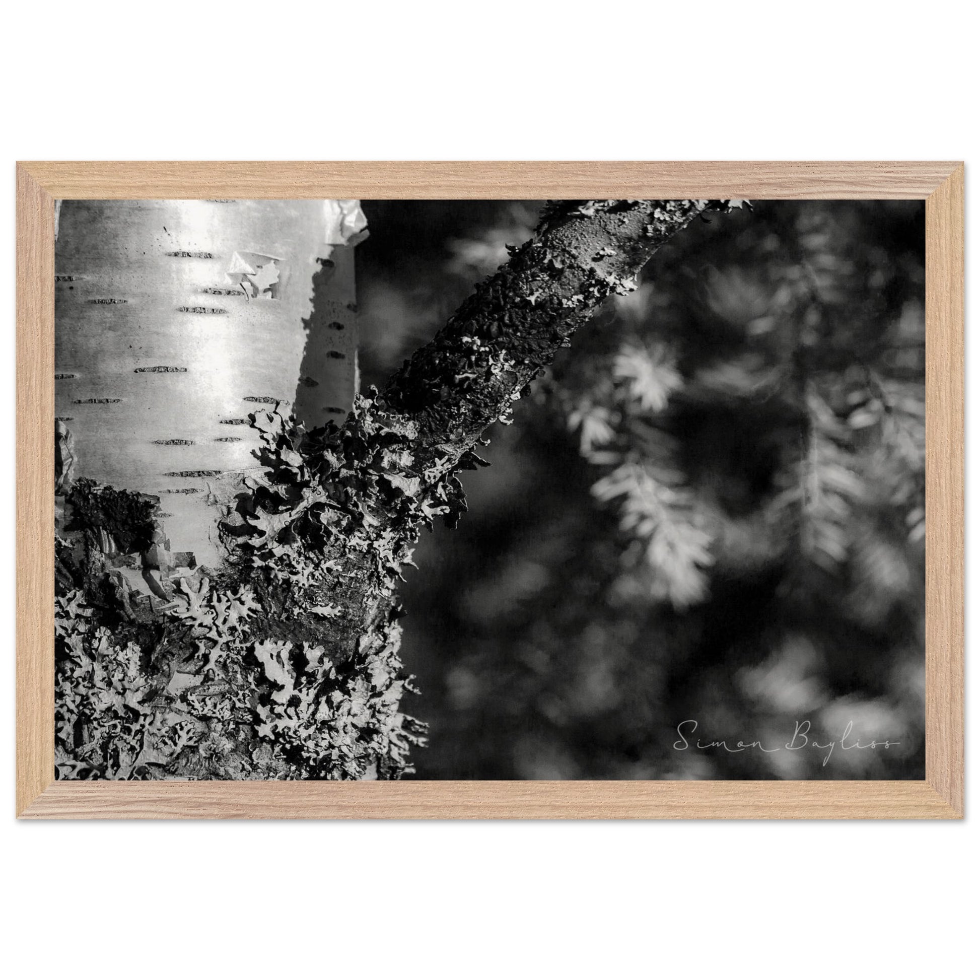 c07985e0-bbc2-4b49-a7ef-92abced94c03