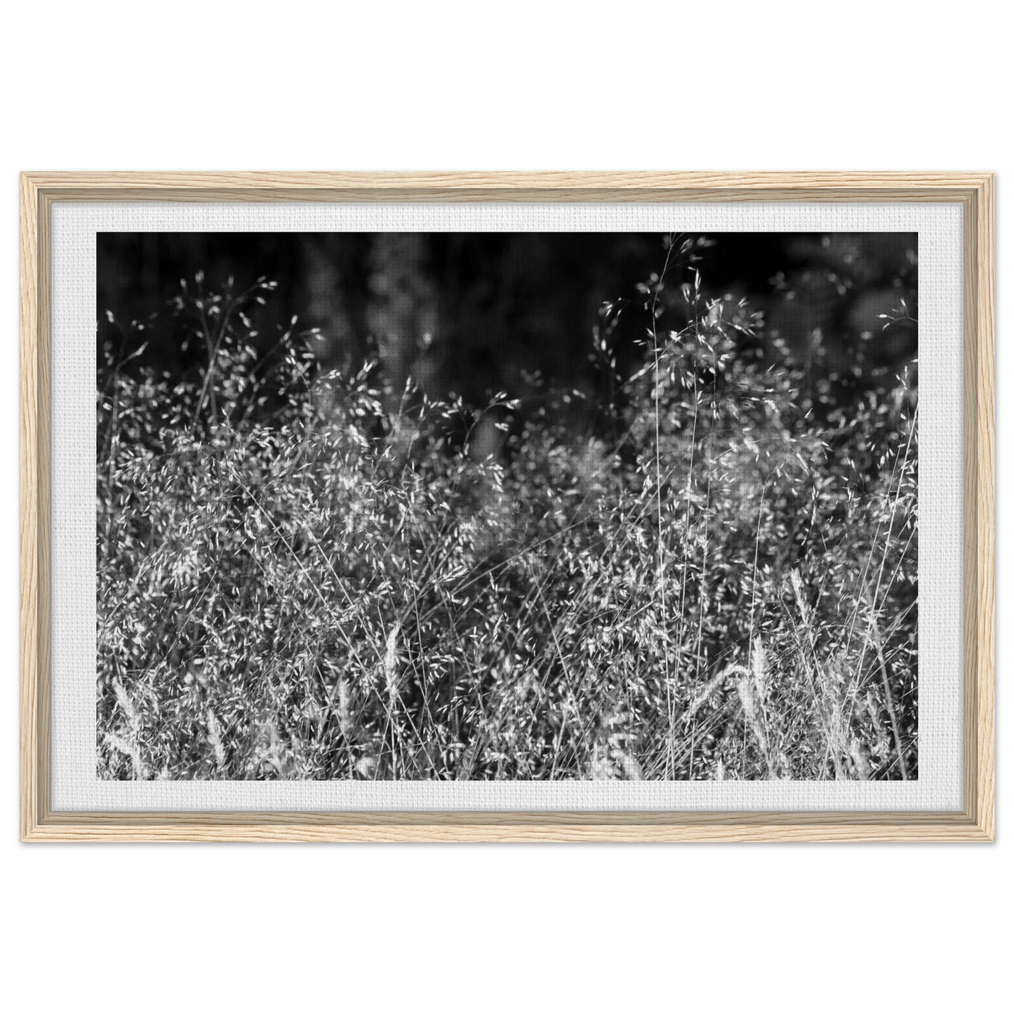 c07fe301-35fa-4379-bd37-50d02398e046