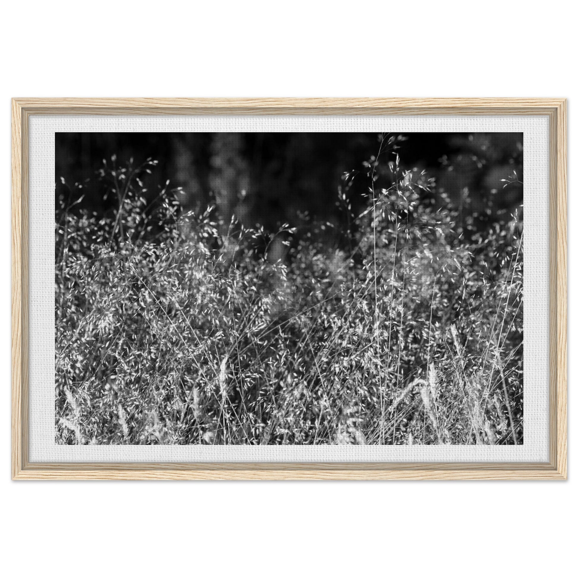 c07fe301-35fa-4379-bd37-50d02398e046