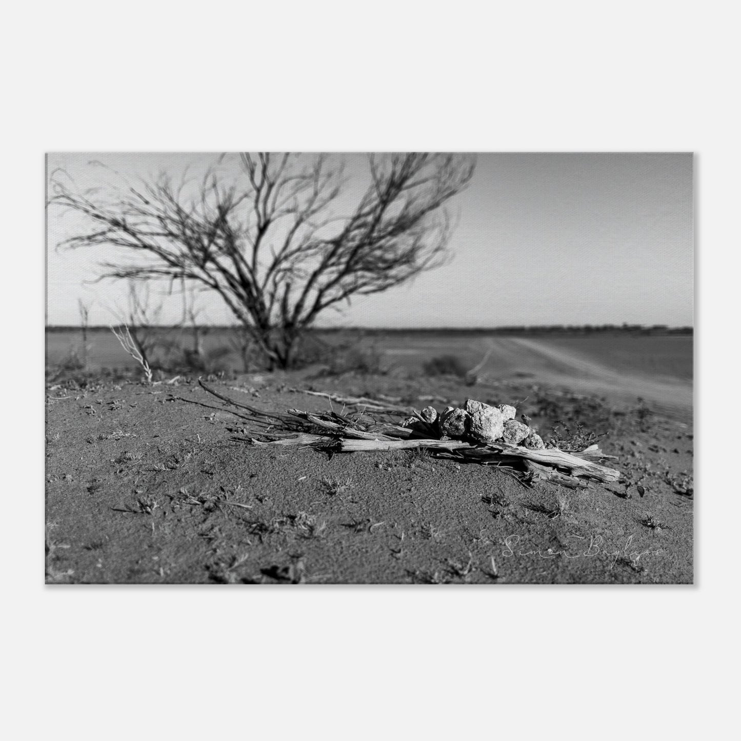 c083bc55-d941-423e-b318-6be2ed716e44