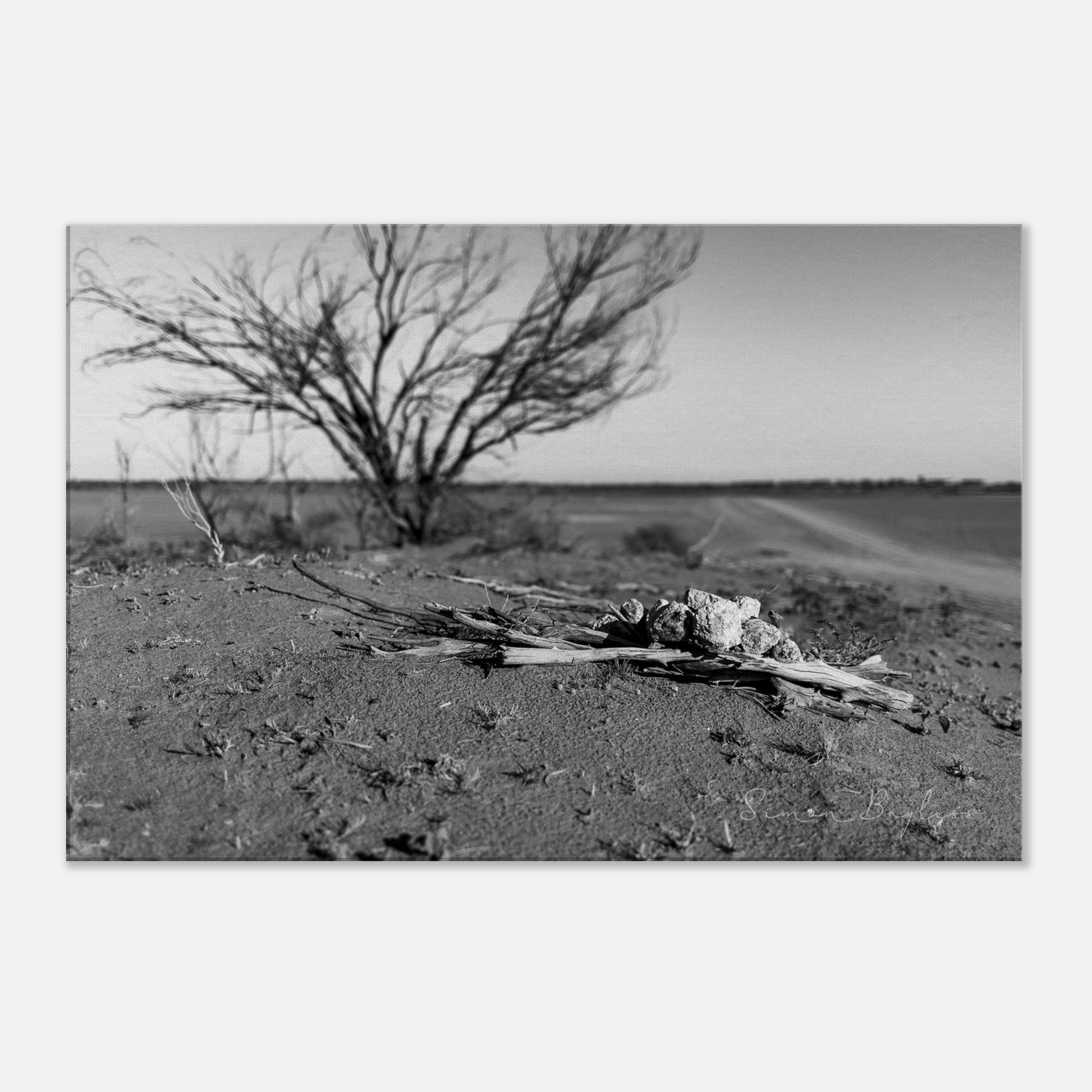 c083bc55-d941-423e-b318-6be2ed716e44