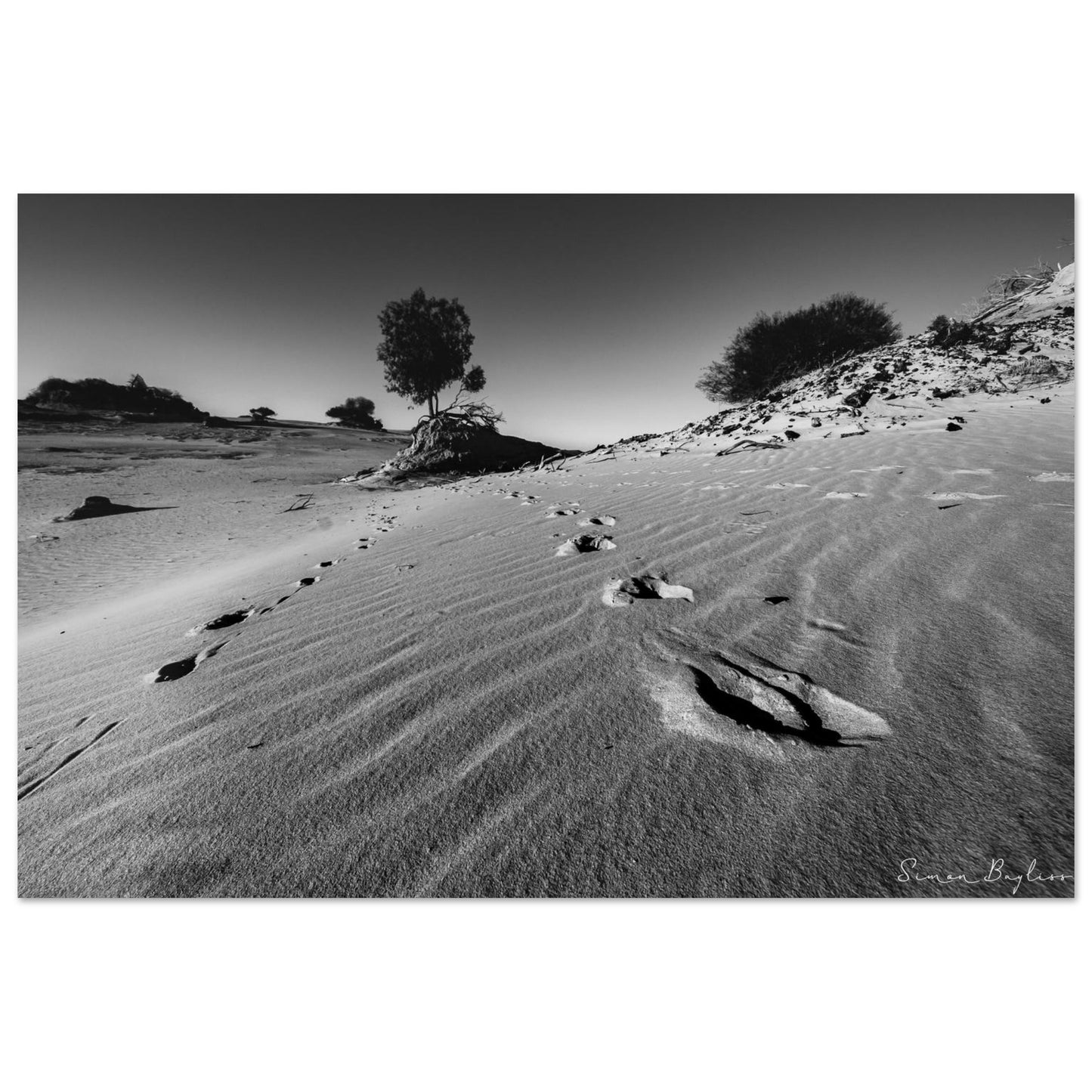 c0c1a1a4-834a-426d-a042-3cf3d36c3fa6