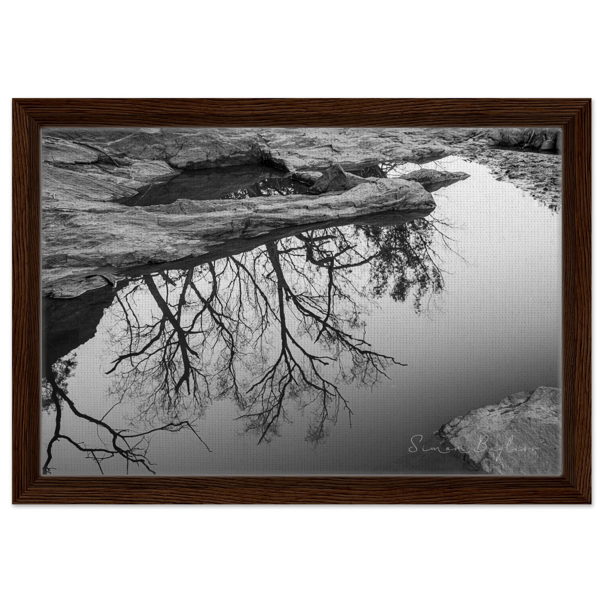 c1a00547-3322-473e-ac55-87f67a319287