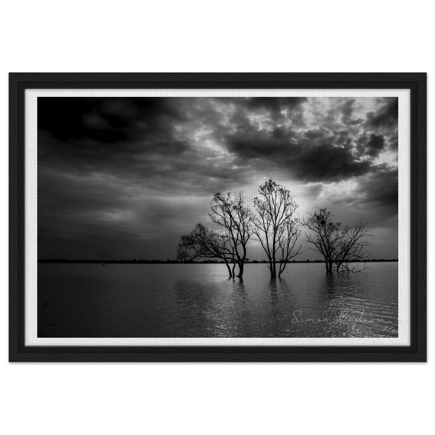 c1d86aad-08e2-4478-9687-2915d47a3c17