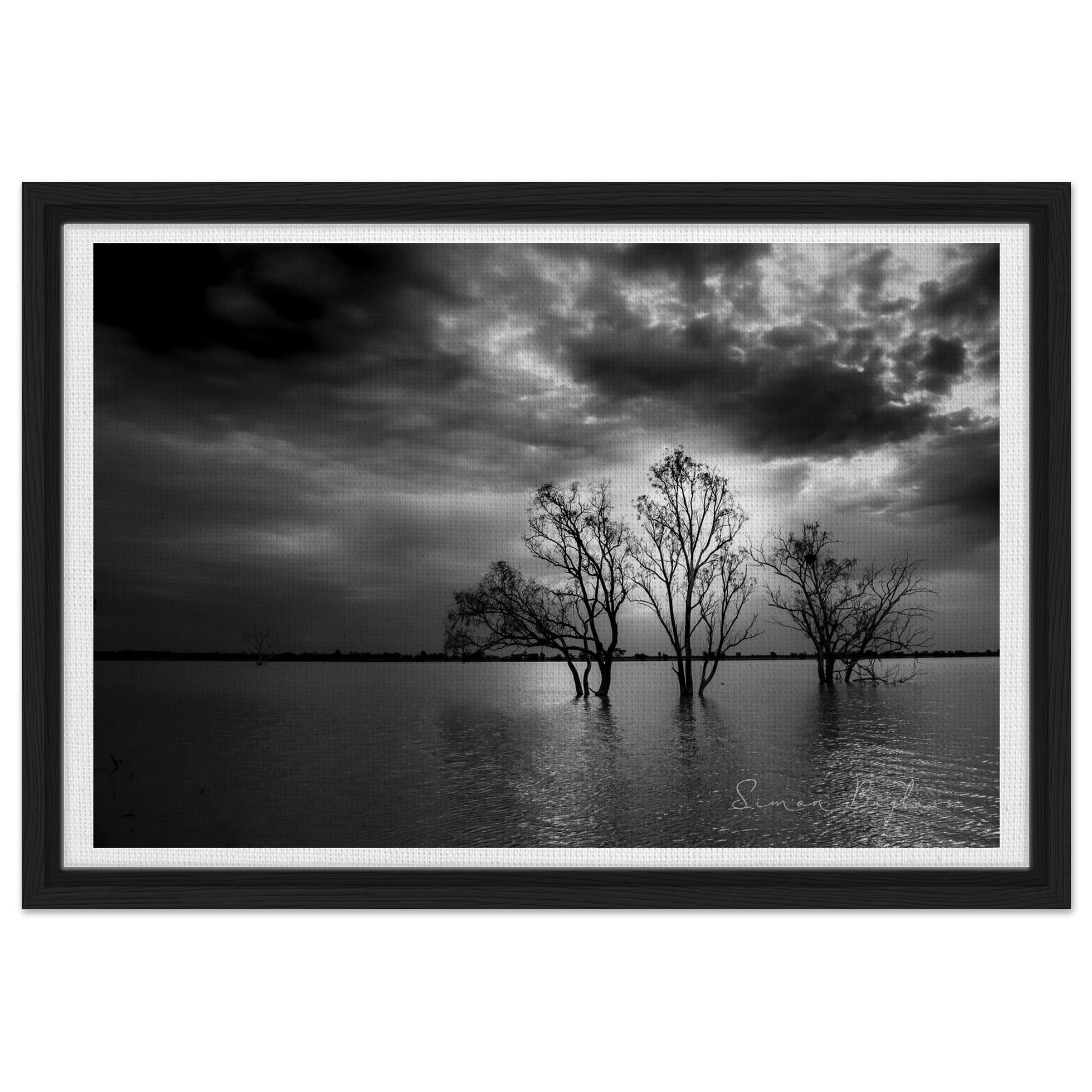 c1d86aad-08e2-4478-9687-2915d47a3c17