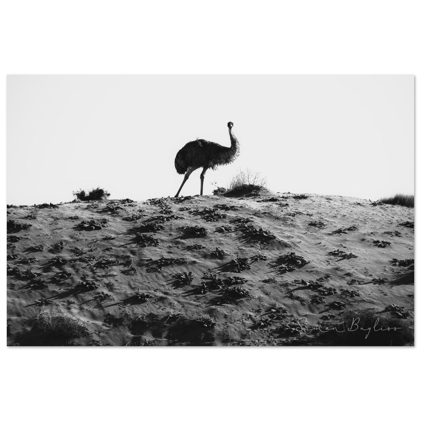 c2385aff-7a60-42e8-9801-63d0dfd7cef8