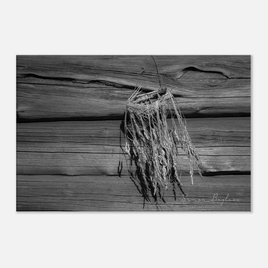 c288848c-9f7f-403f-907c-6564c32362eb