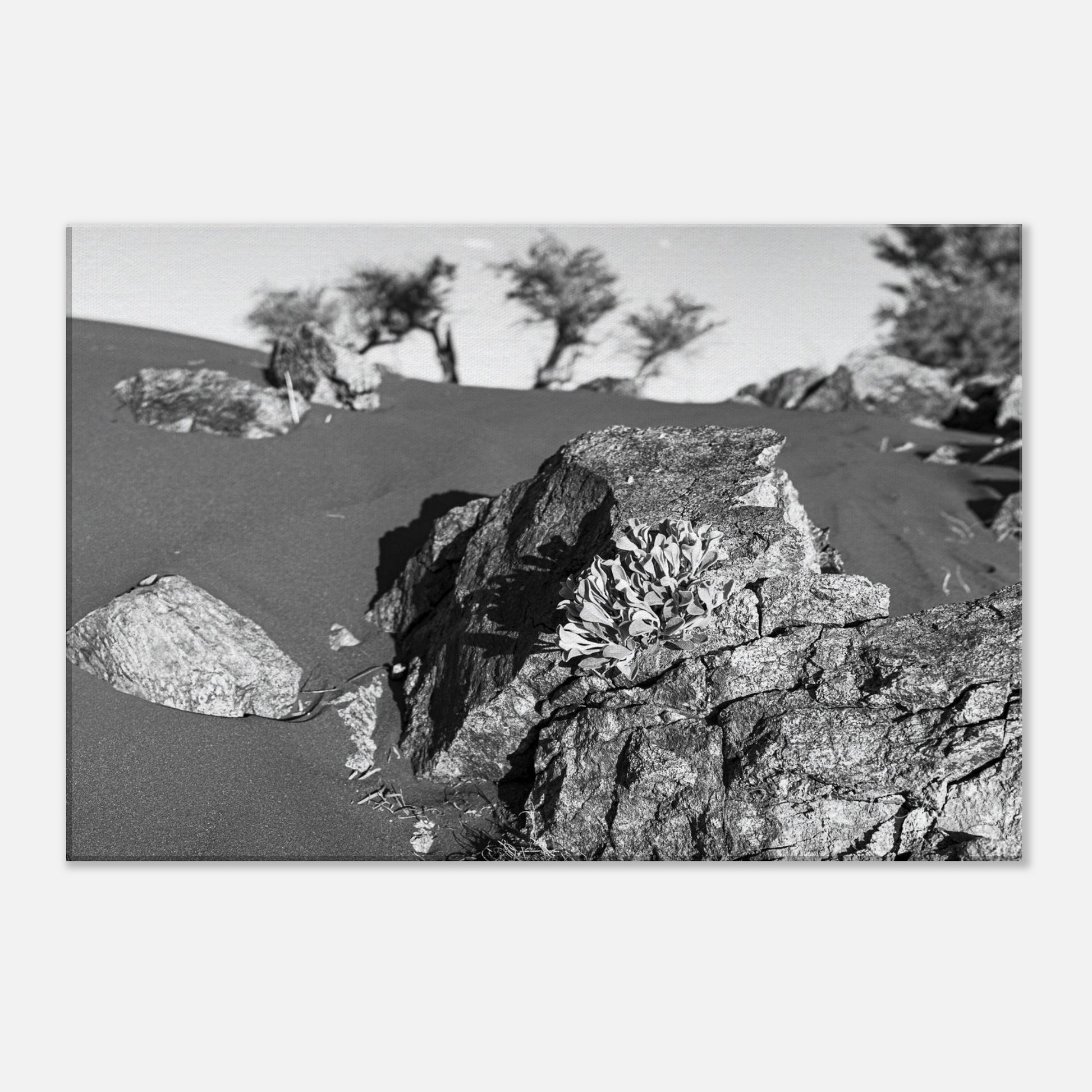 c30c91c4-c540-46e3-9475-a28a815d1381