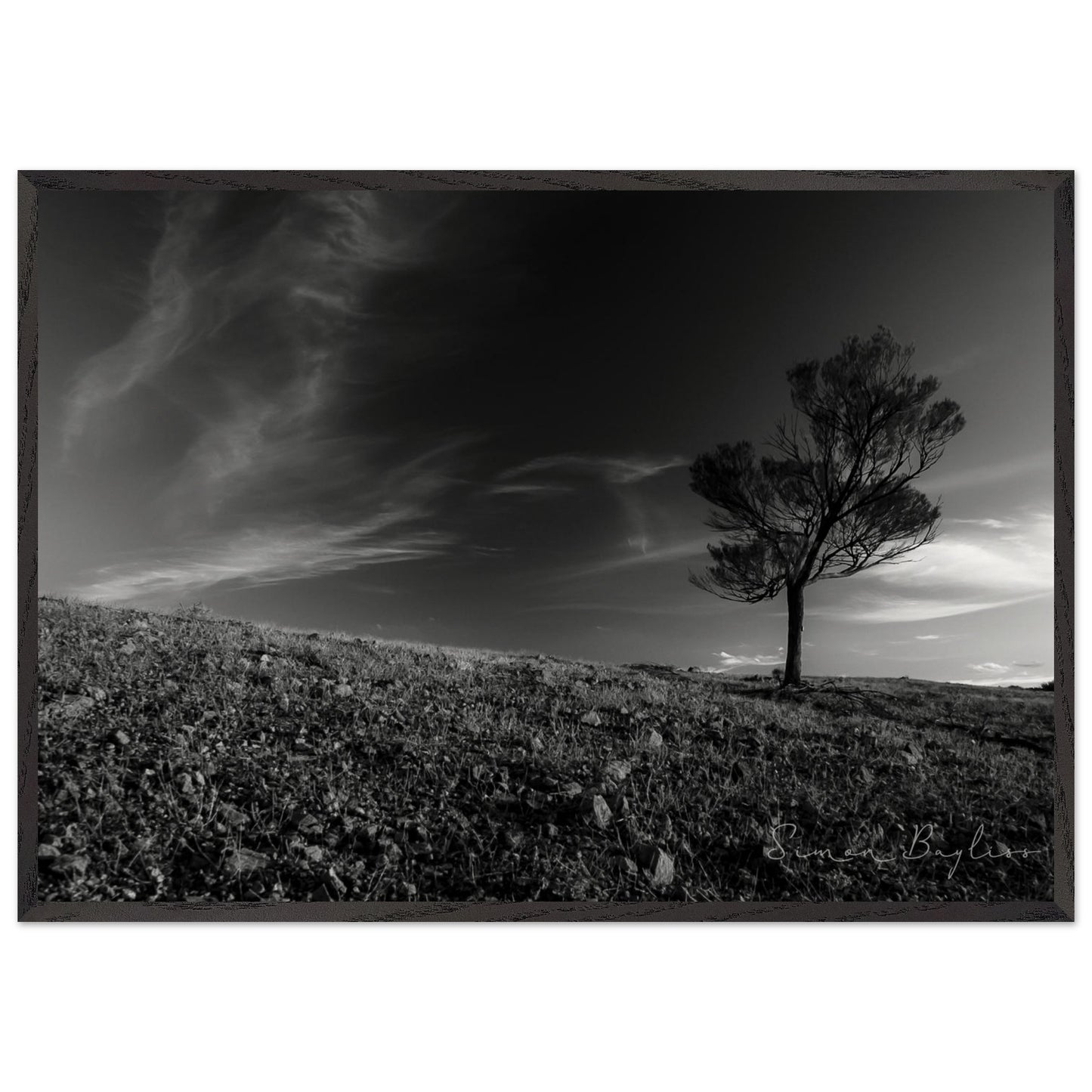 c354664c-cd0e-456b-a33b-b4c0fb036d1c