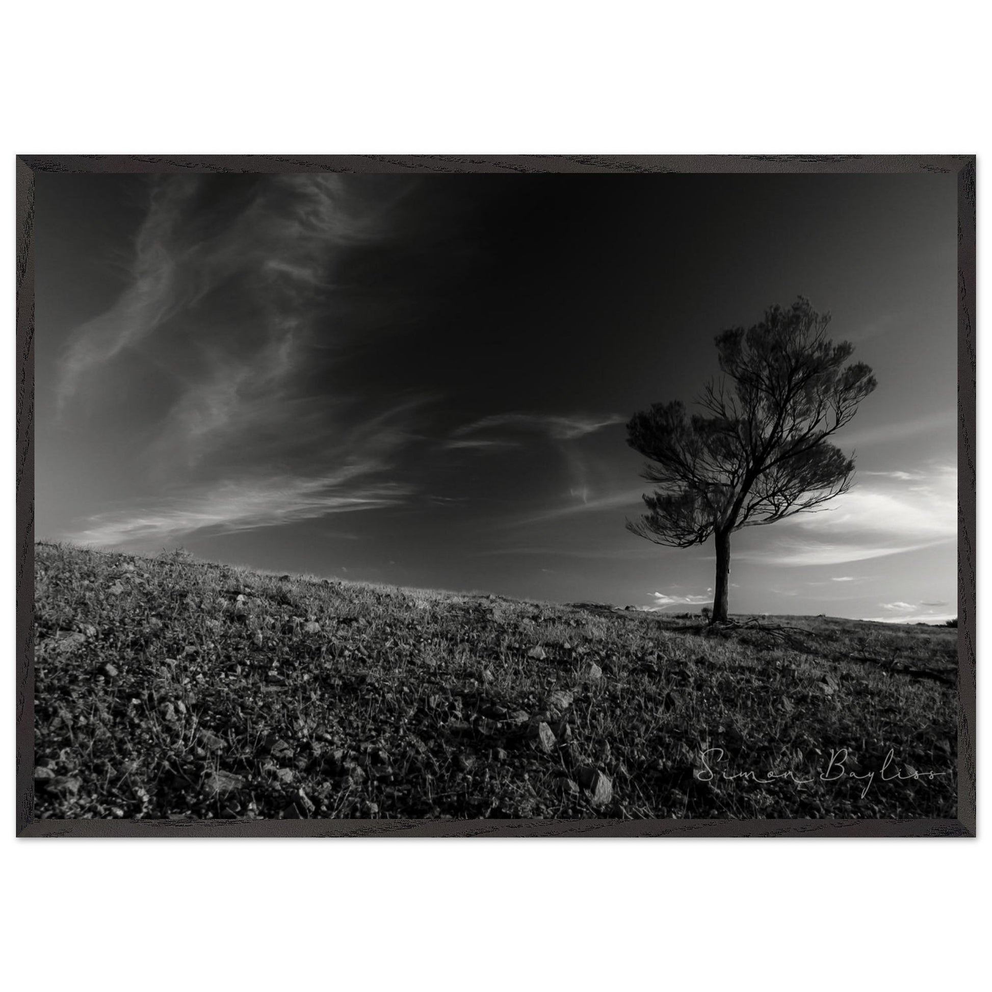 c354664c-cd0e-456b-a33b-b4c0fb036d1c